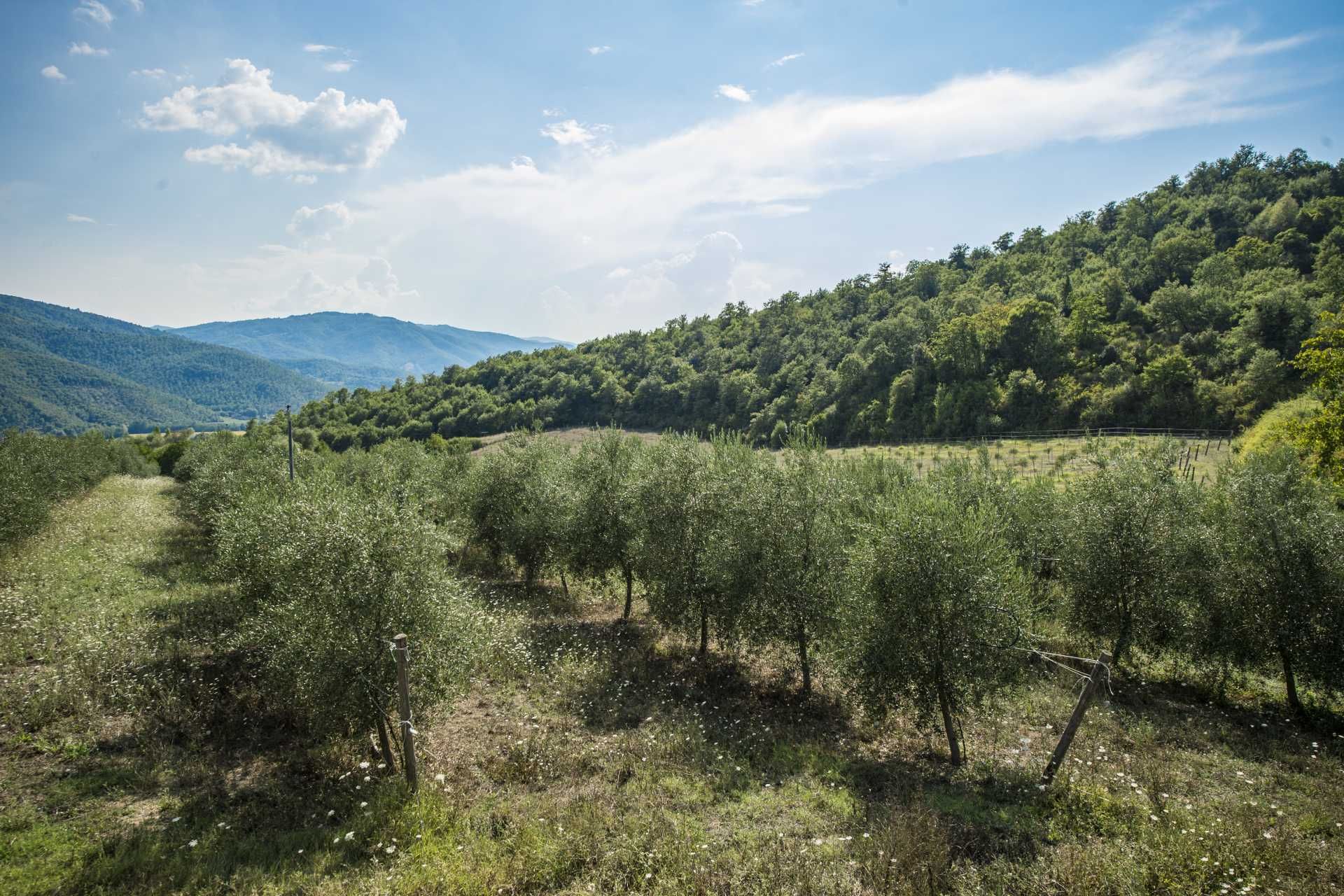 жилой дом в Citta Di Castello, Perugia 10063862