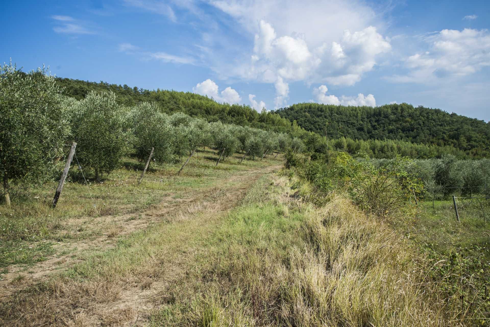 σπίτι σε Citta Di Castello, Perugia 10063862