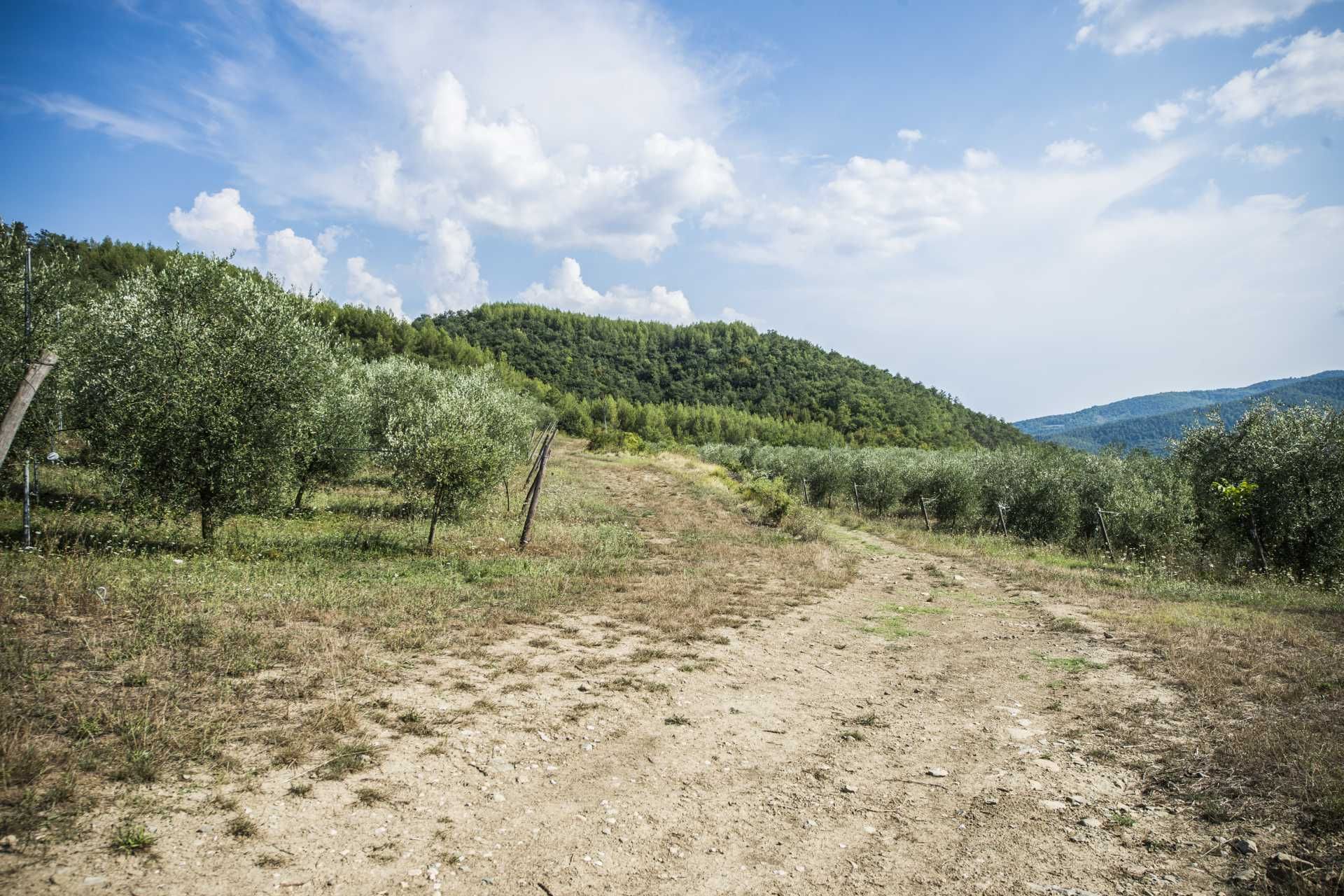 жилой дом в Citta Di Castello, Perugia 10063862