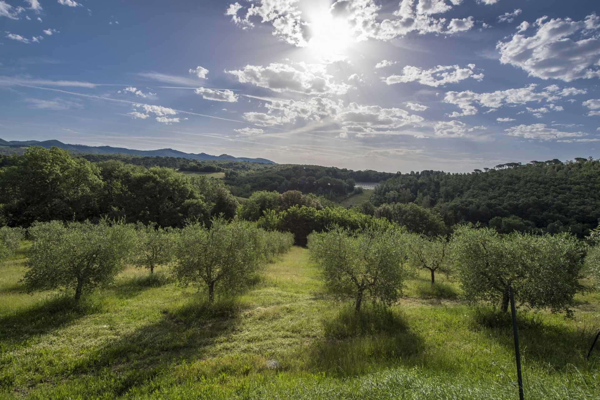 casa en Gaiole In Chianti, Siena 10063873