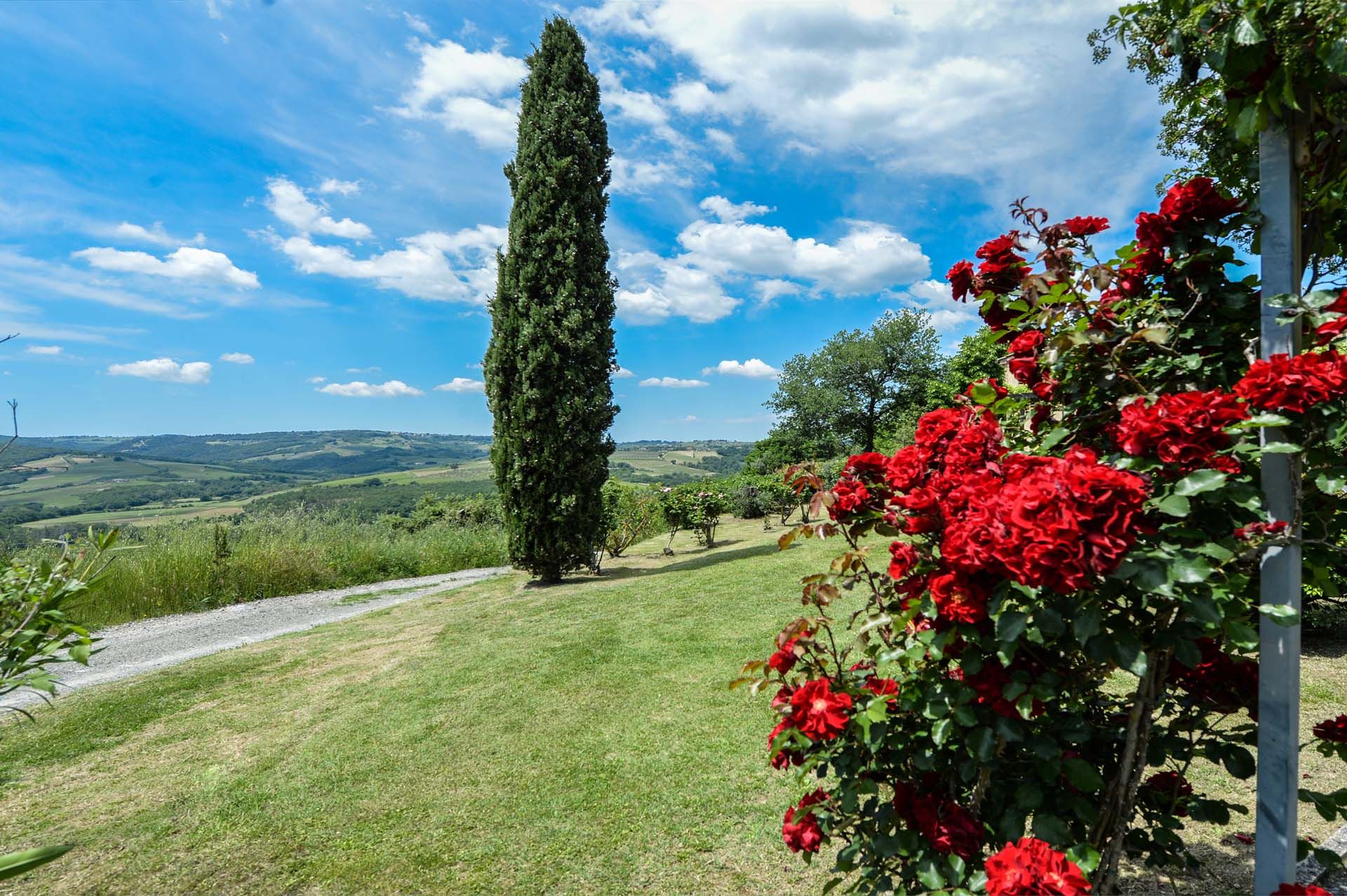 Будинок в San Gimignano, Siena 10063942