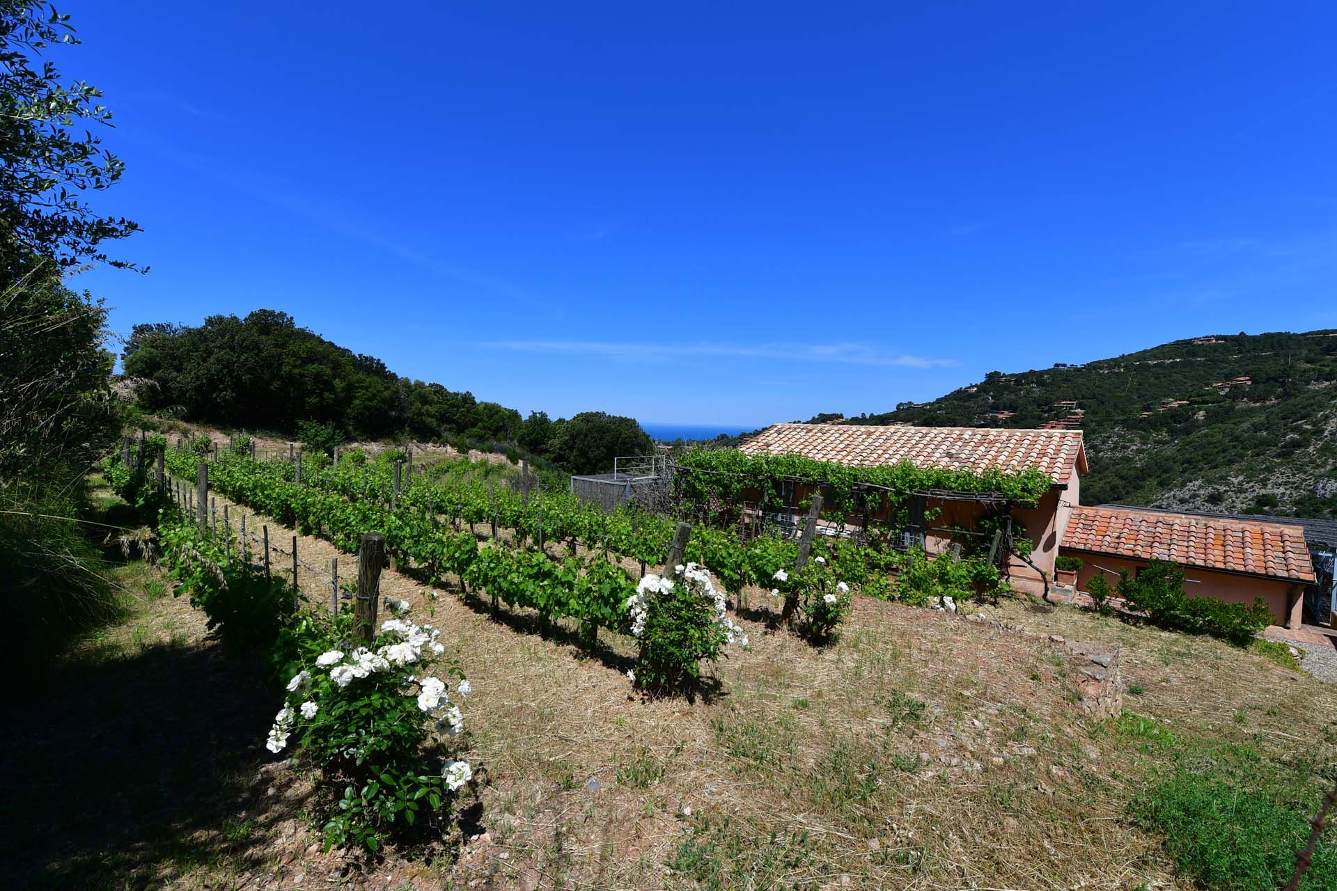 жилой дом в Porto Santo Stefano, Grosseto 10063960