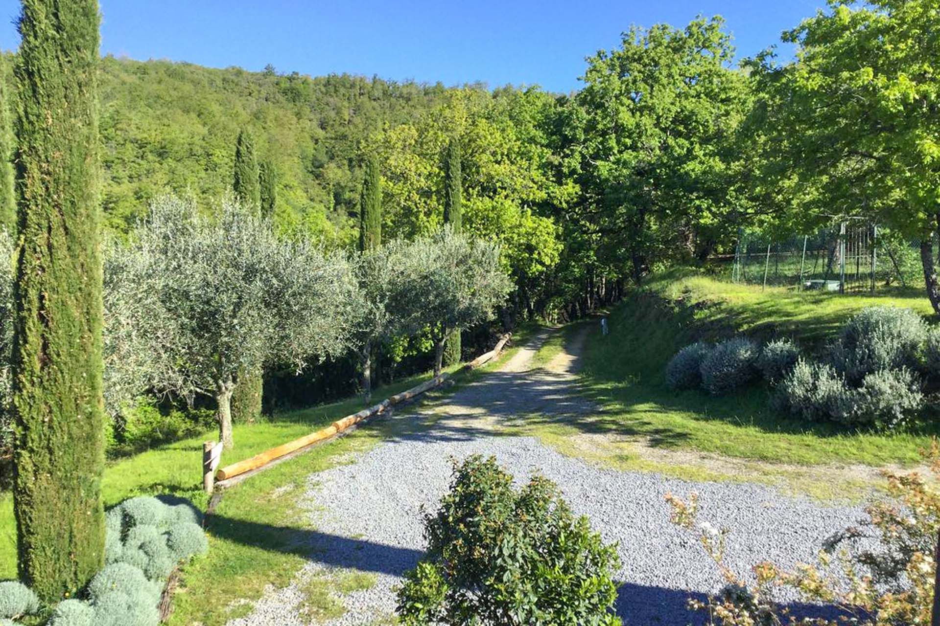 Lain di Radda In Chianti, Siena 10064192