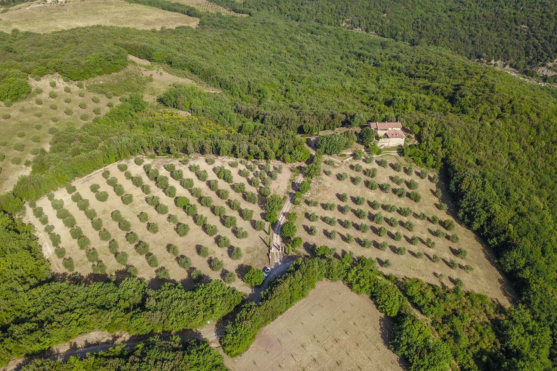 σπίτι σε Castiglione D'orcia, Siena 10064214