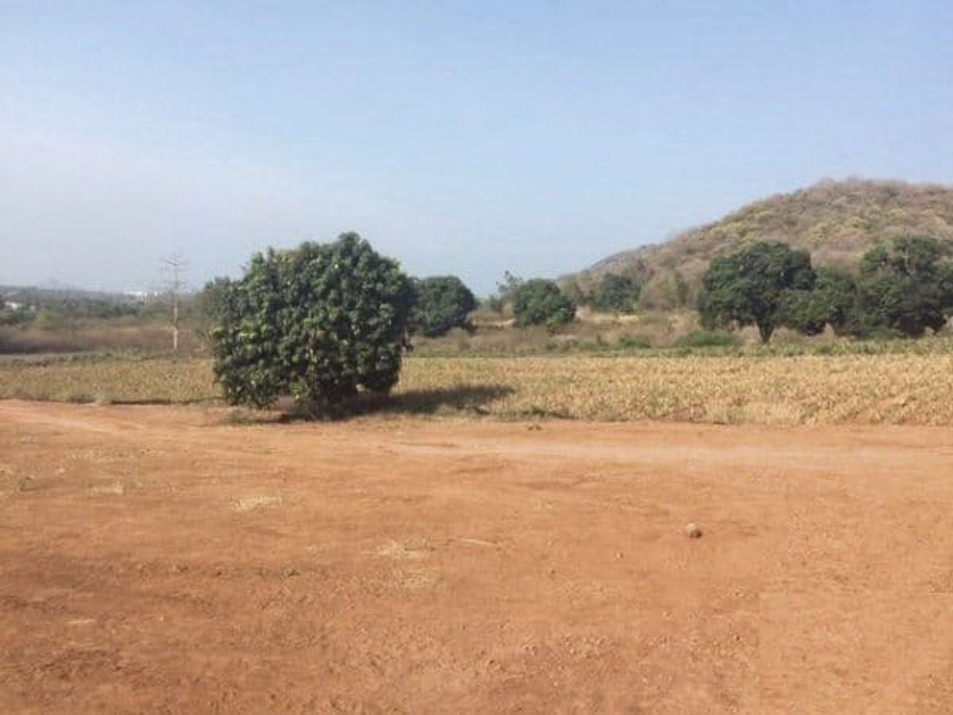 Land in Pran Buri, Prachuap Khiri Khan 10065087