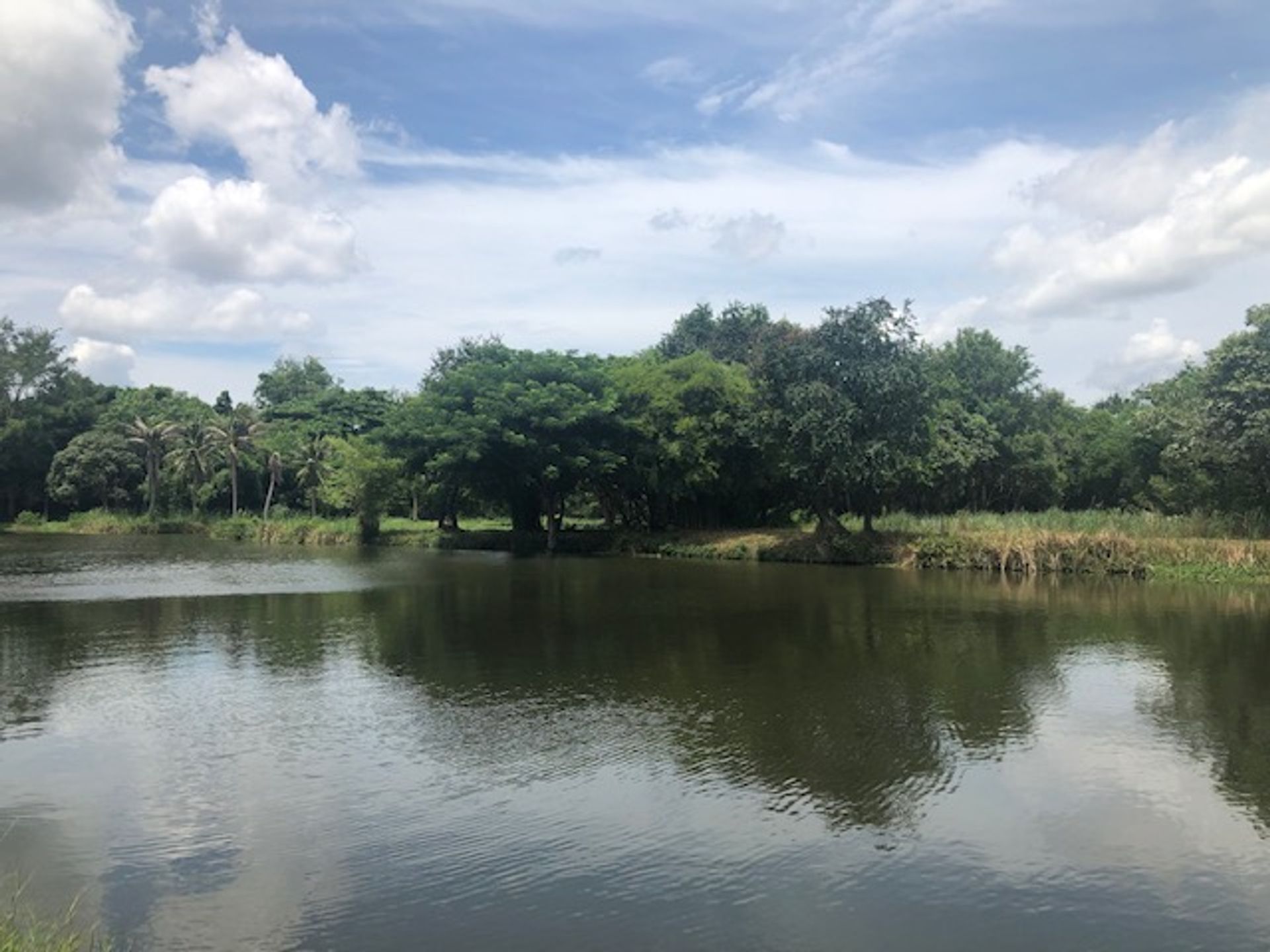 Land im Pran Buri, Prachuap Khiri Khan 10065193