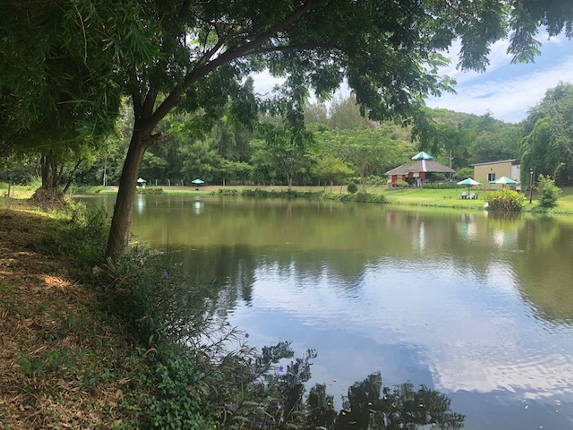 Tanah dalam Hua Hin, Prachuap Khiri Khan 10065193