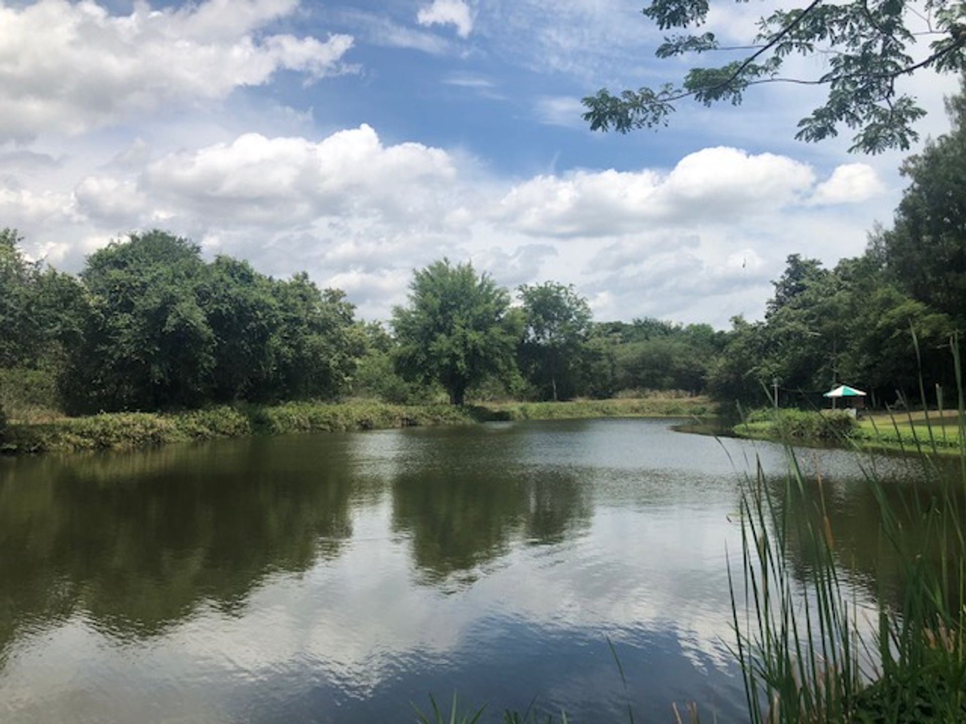 Tanah dalam Hua Hin, Prachuap Khiri Khan 10065193