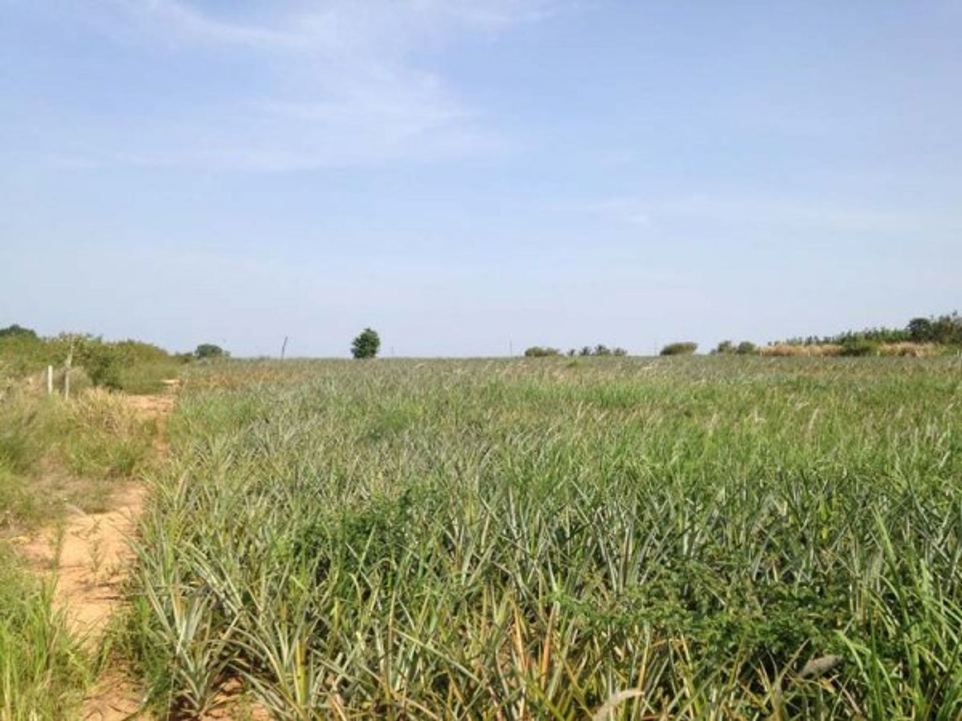 Terra no Pran Buri, Prachuap Khiri Khan 10065195