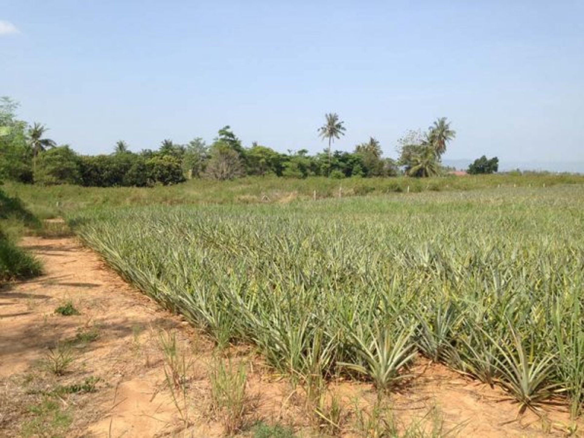 Land im Hua Hin, Prachuap Khiri Khan 10065195