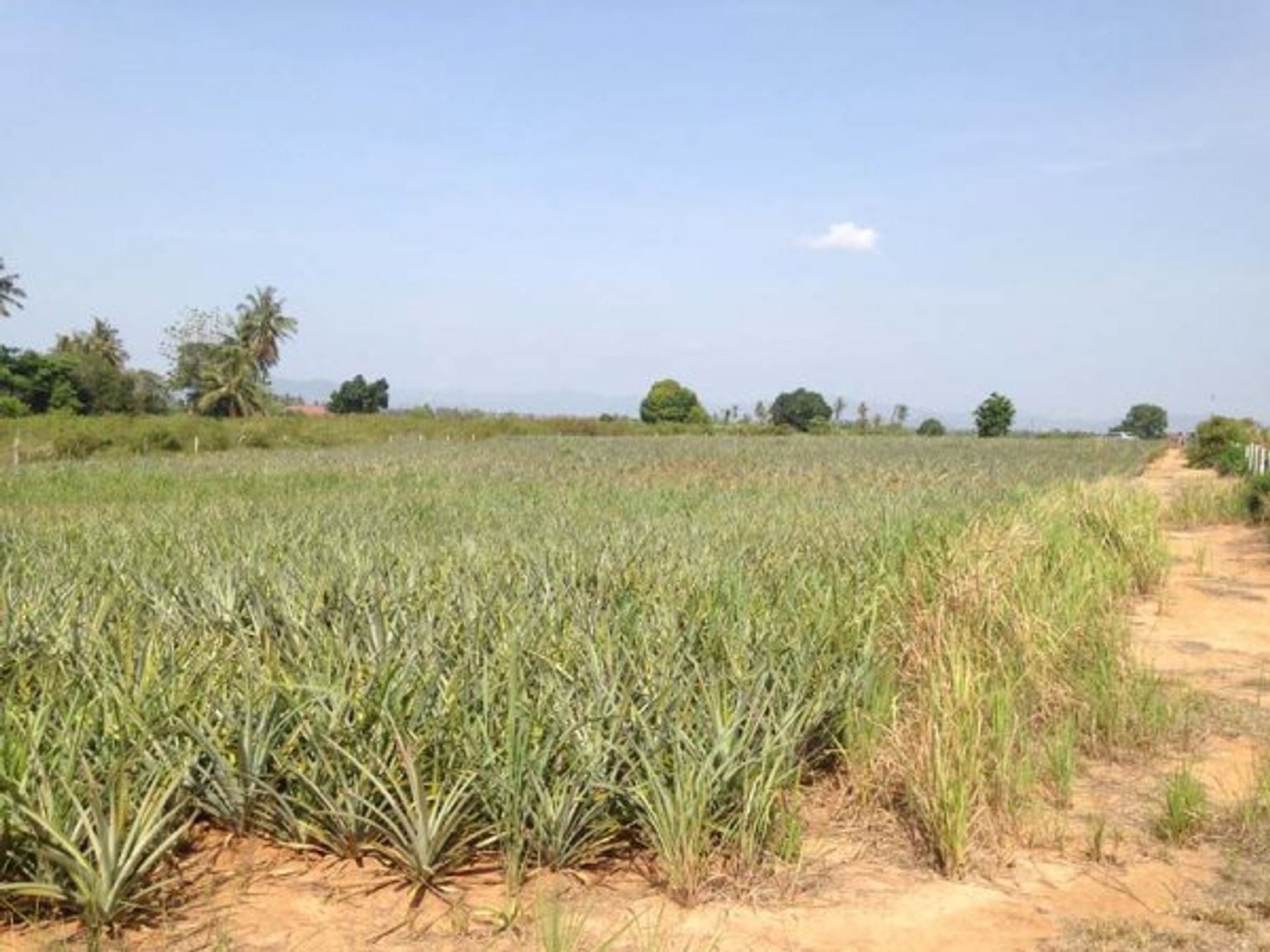 Land i Hua Hin, Prachuap Khiri Khan 10065195