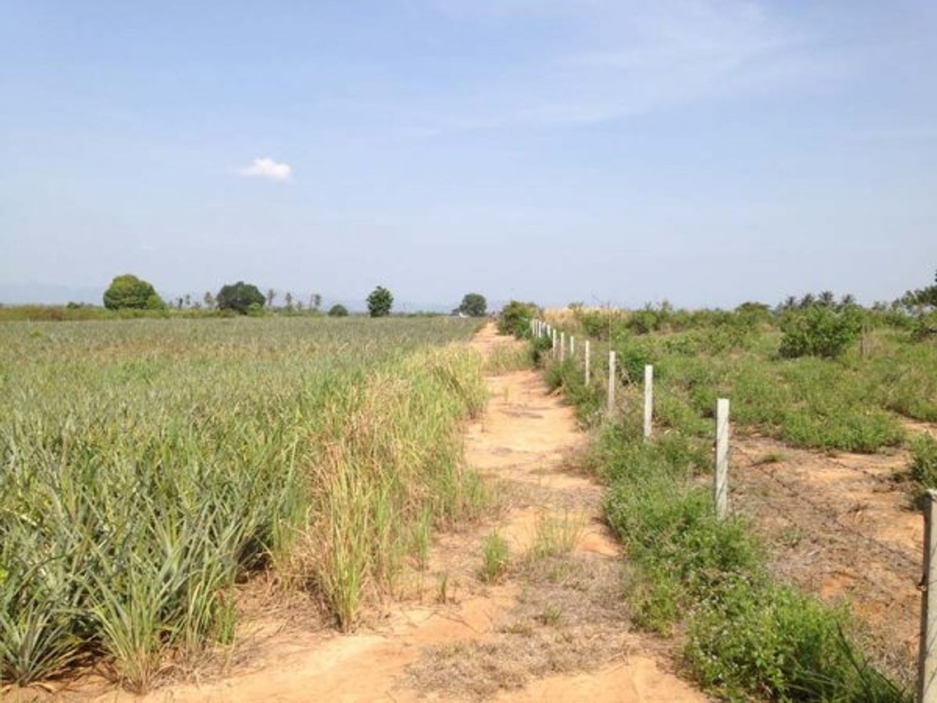 Land i Hua Hin, Prachuap Khiri Khan 10065195