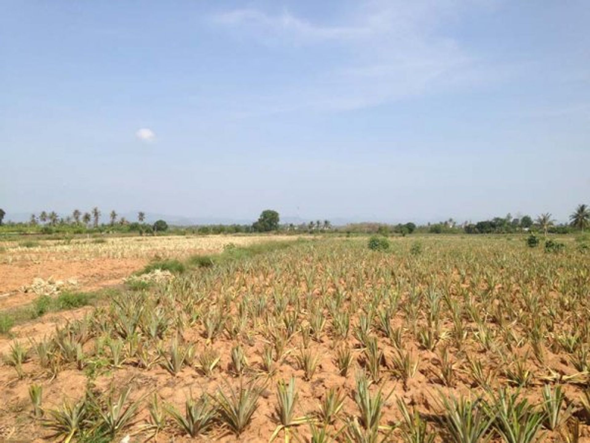 Земля в Hua Hin, Prachuap Khiri Khan 10065195