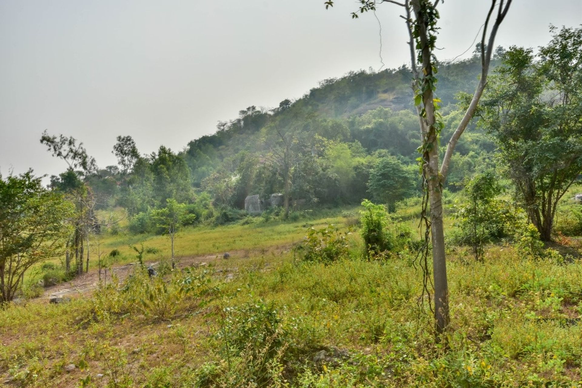 Land in Hua Hin, Prachuap Khiri Khan 10065198