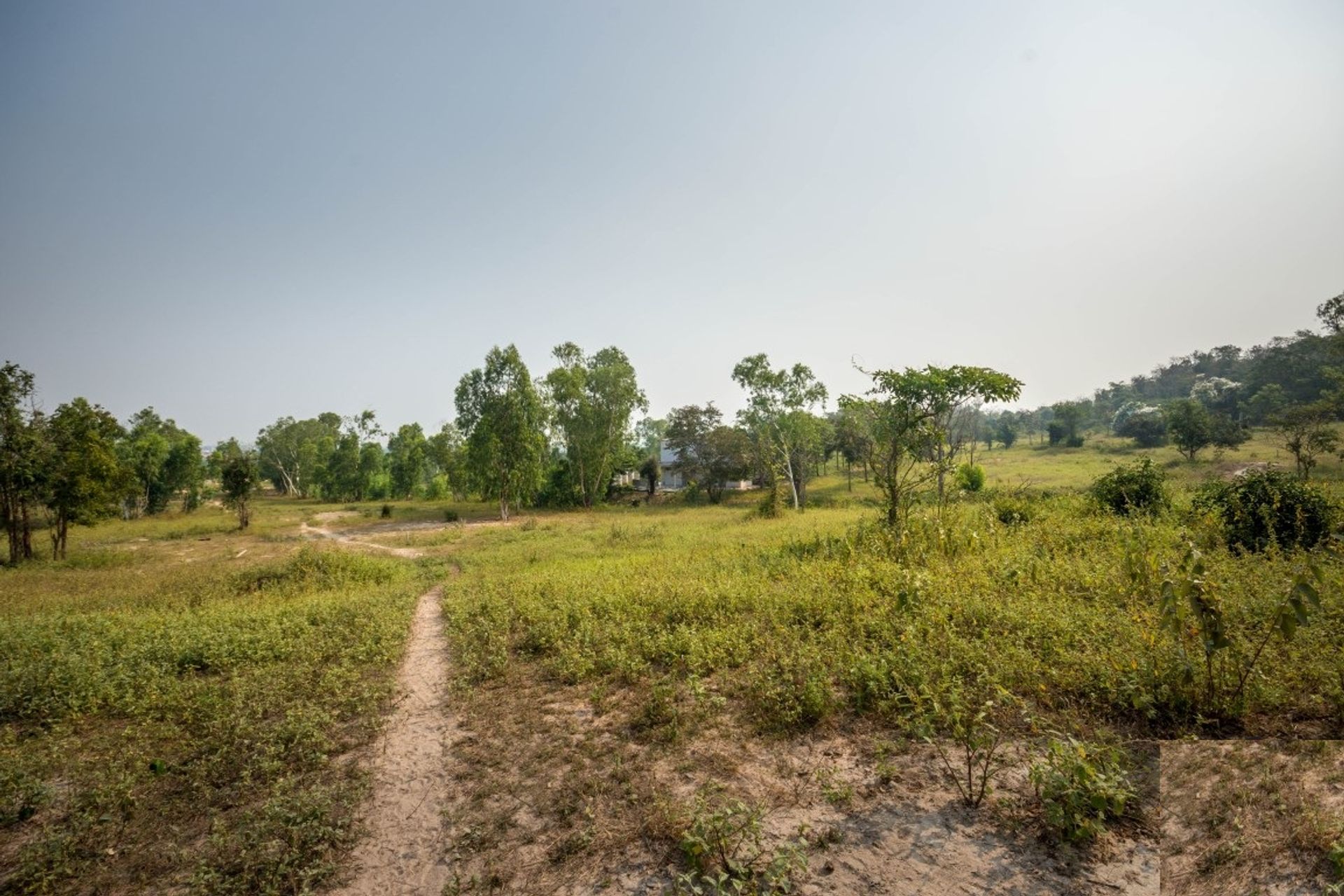 Wylądować w Hua Hin, Prachuap Khiri Khan 10065198