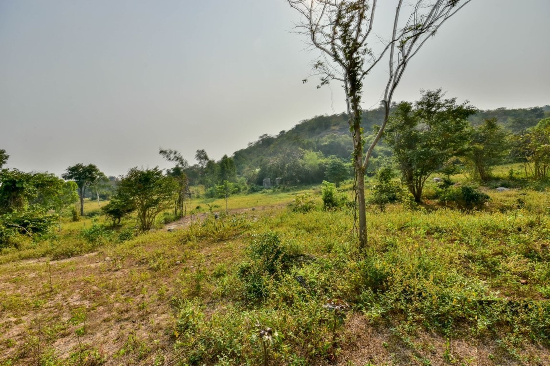 土地 在 Hua Hin, Prachuap Khiri Khan 10065198