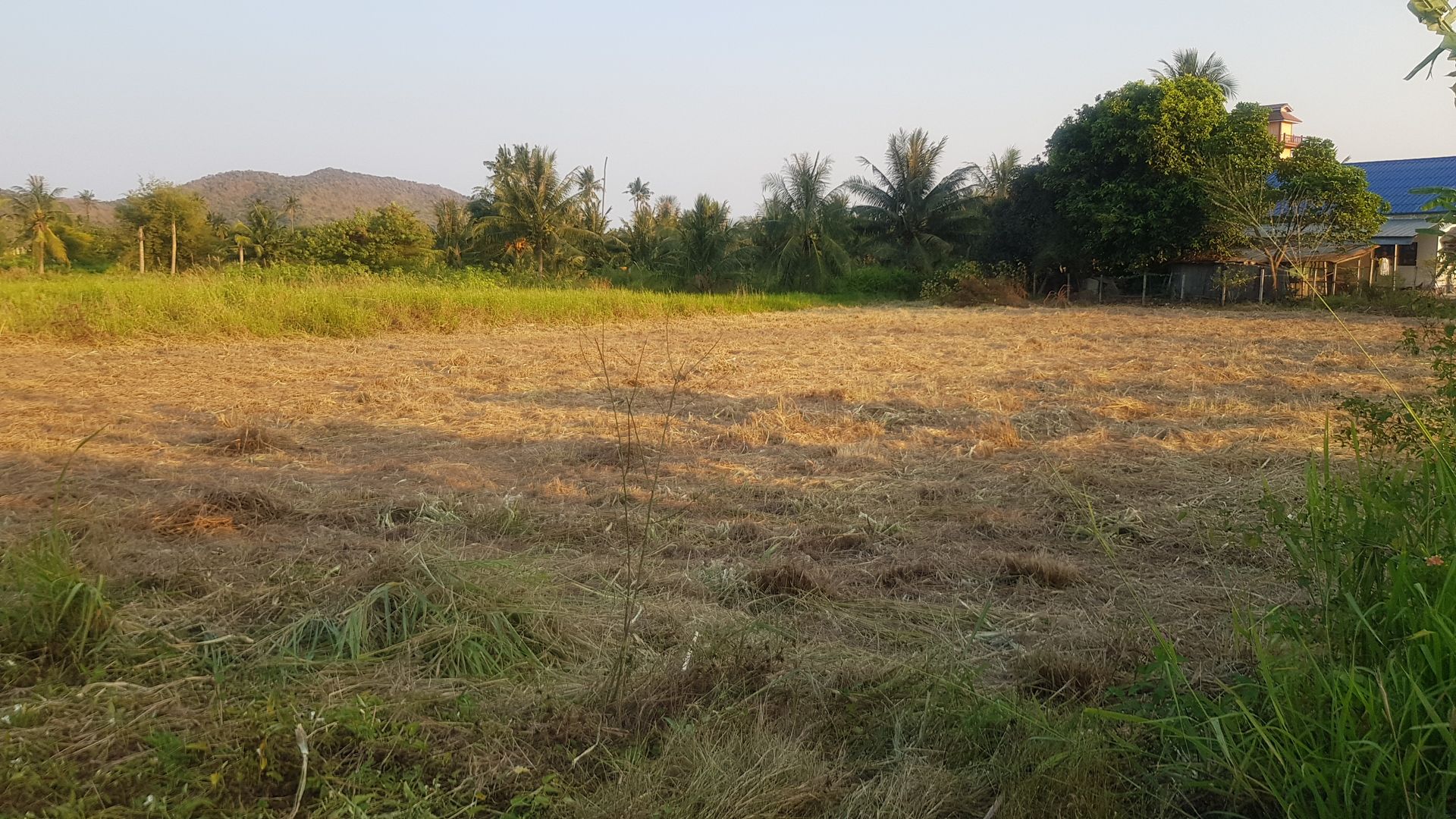 Maa sisään Hua Hin, Prachuap Khiri Khan 10065200