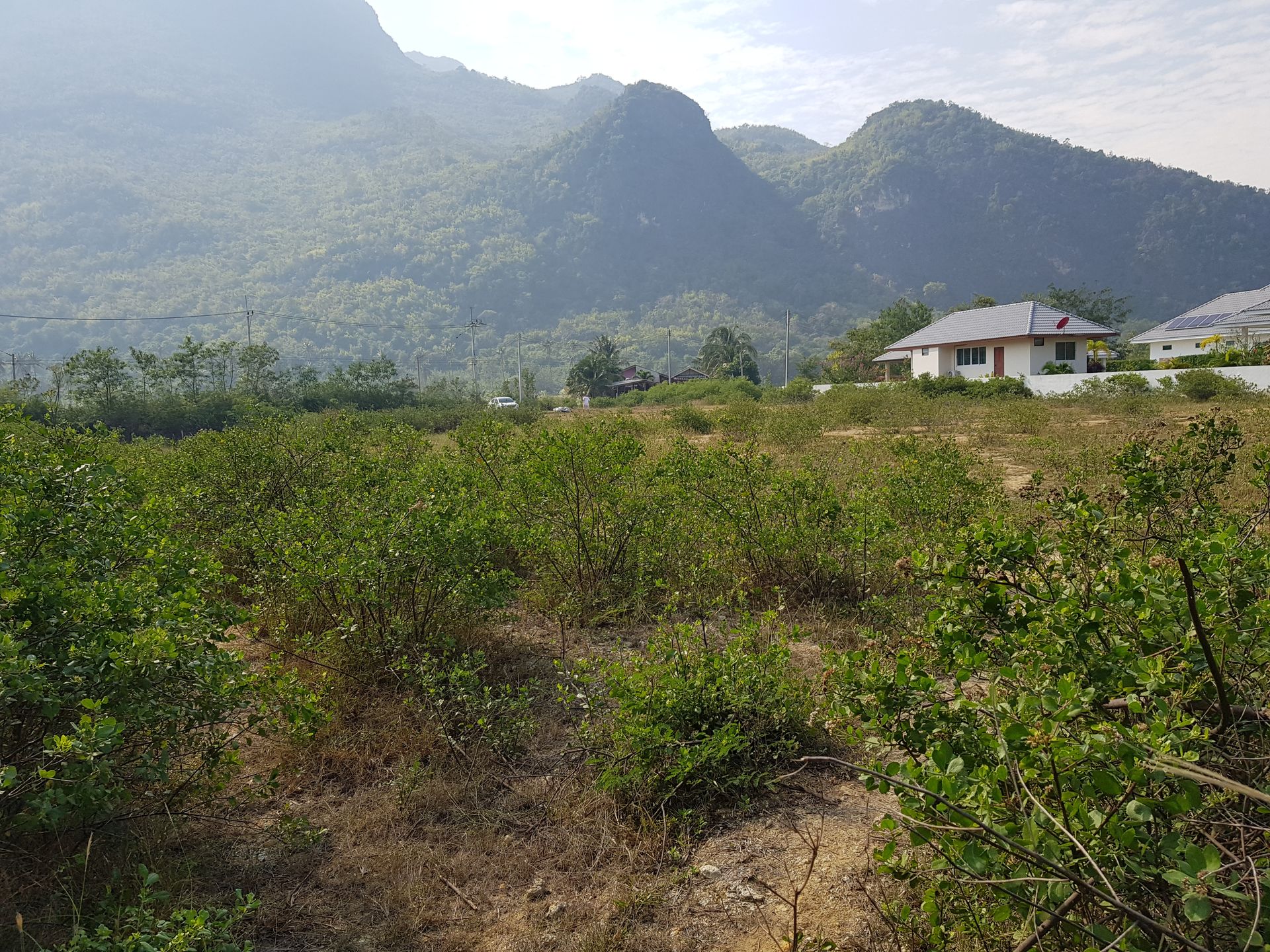 Land in Sam Roi Yot, Prachuap Khiri Khan 10065205