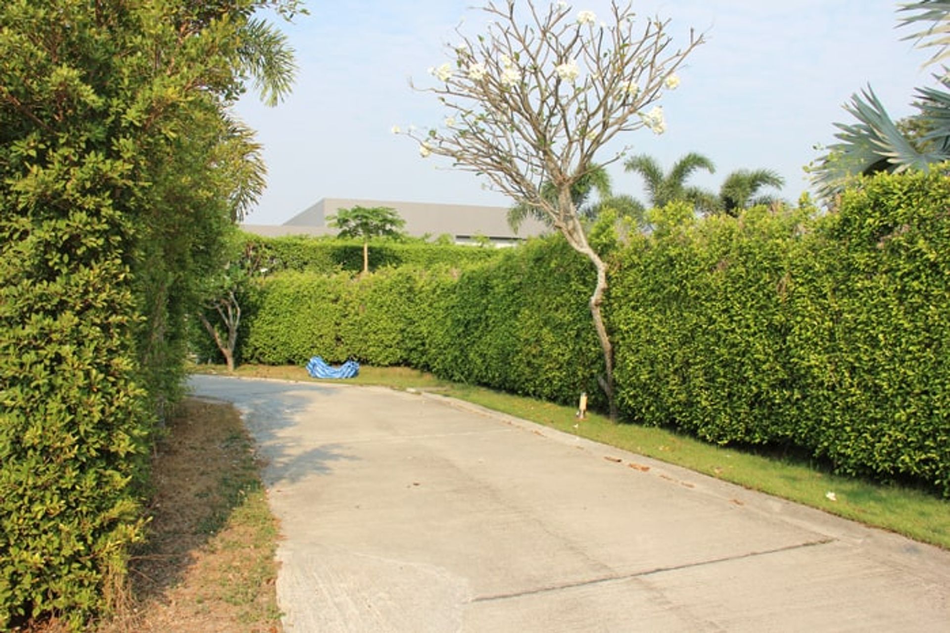 Γη σε Hua Hin, Prachuap Khiri Khan 10065763