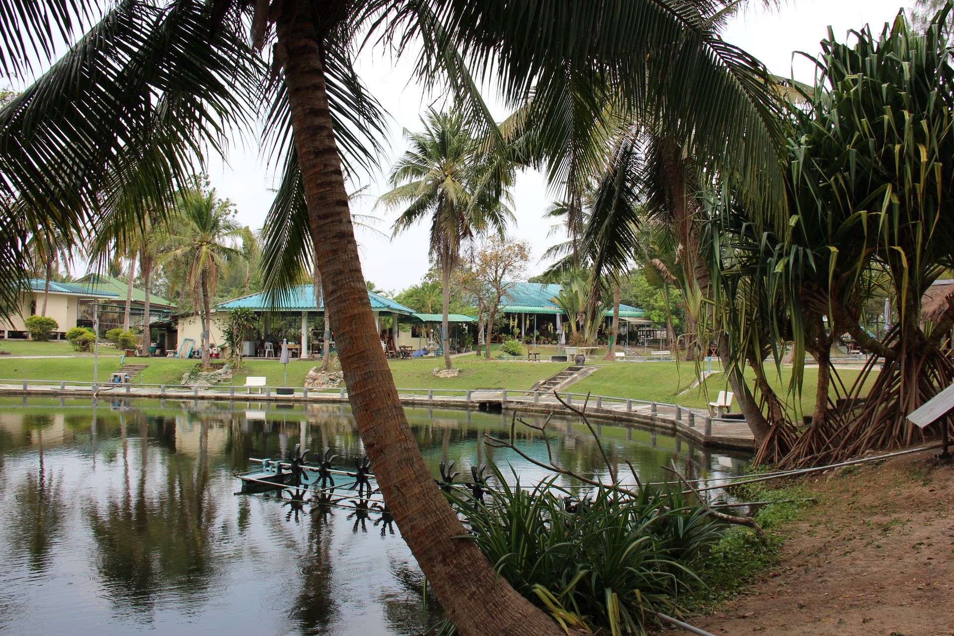 Industriel dans Hua Hin, Prachuap Khiri Khan 10066059