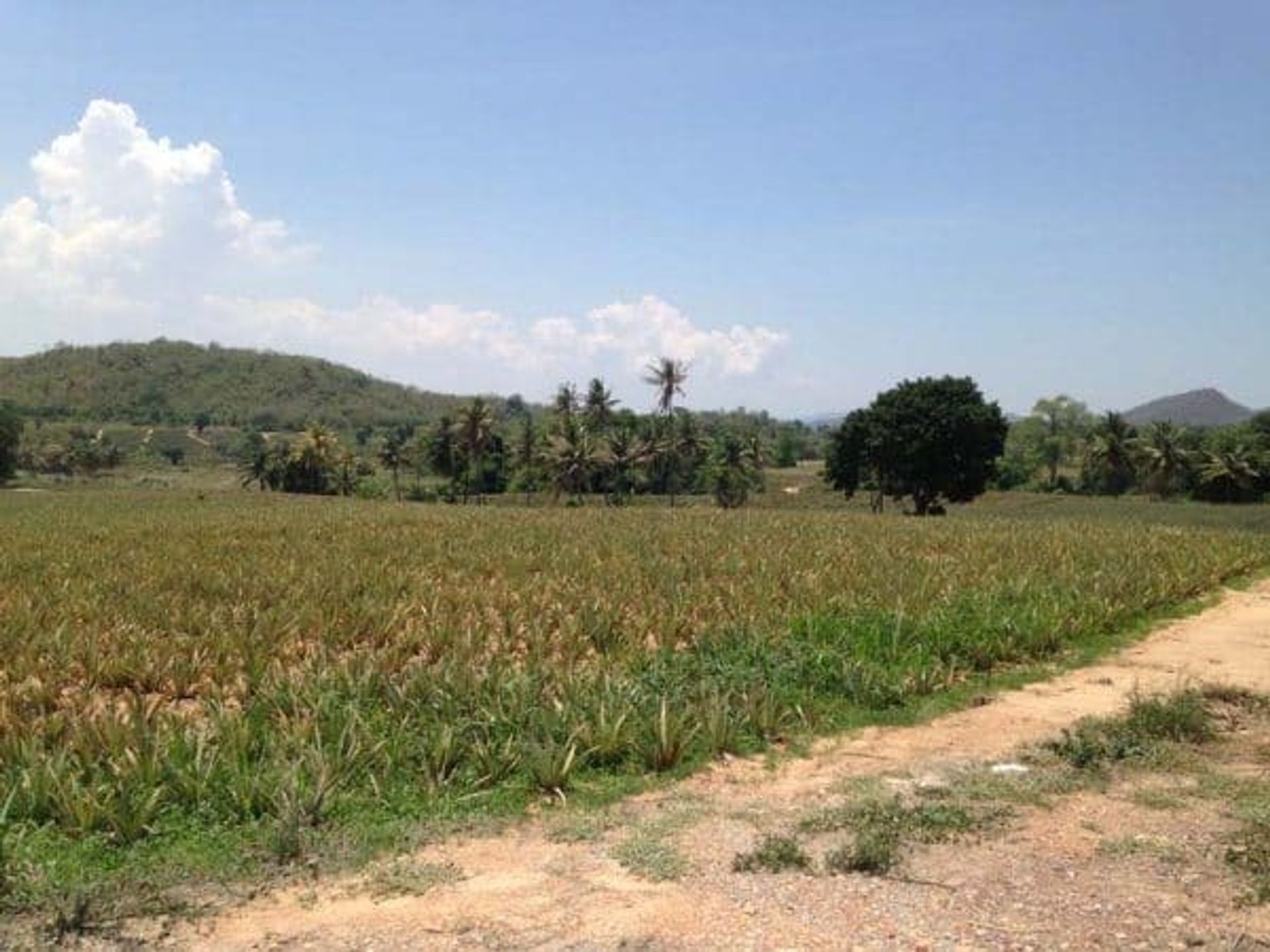 土地 在 Hua Hin, Prachuap Khiri Khan 10066263