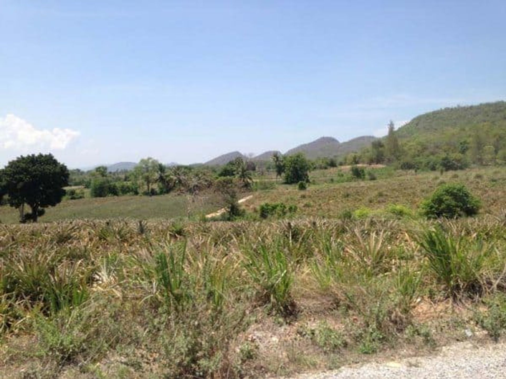 Land in Hua Hin, Prachuap Khiri Khan 10066263