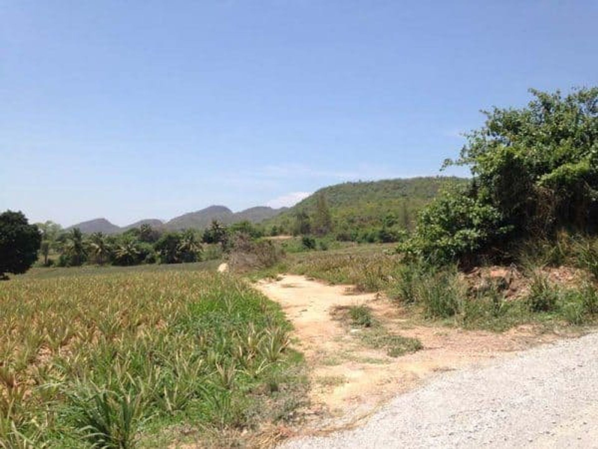 Land i Hua Hin, Prachuap Khiri Khan 10066263