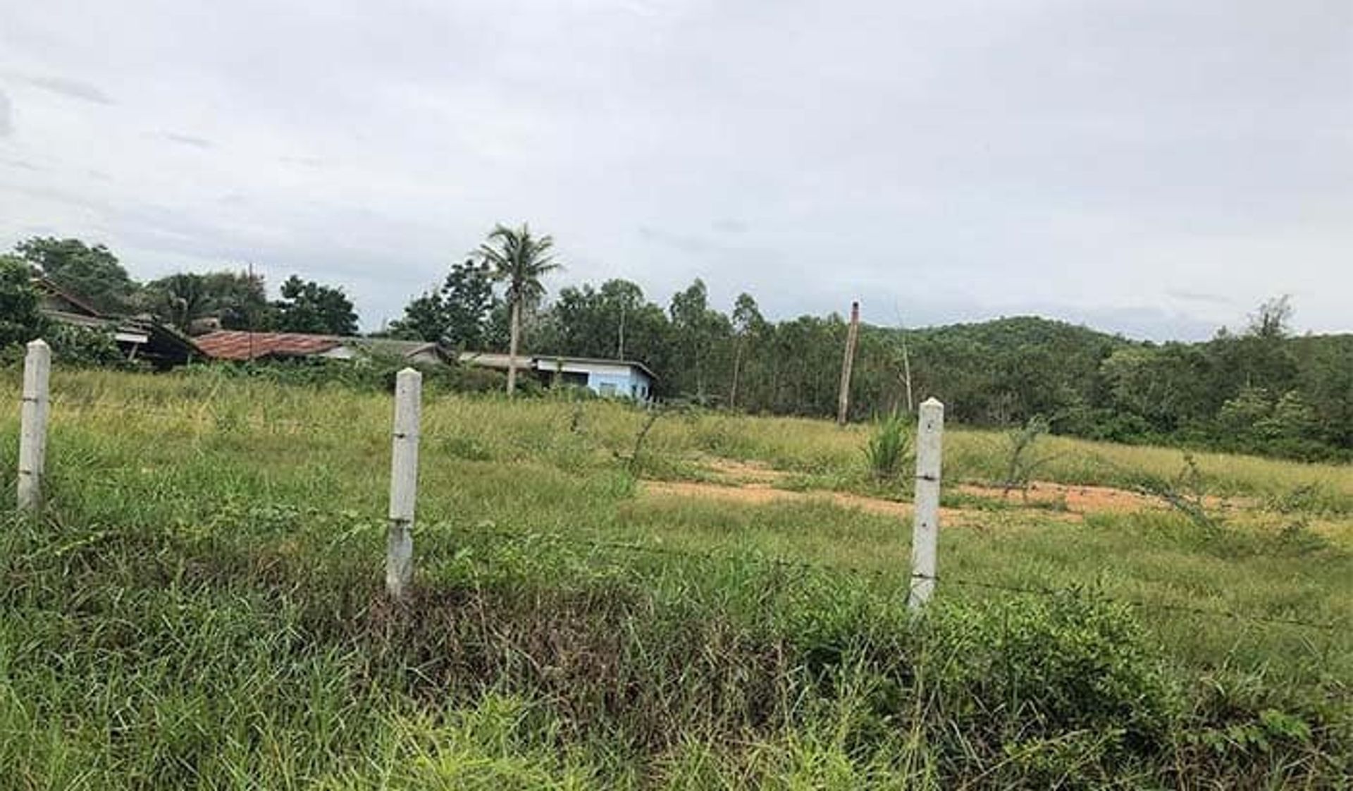 Maa sisään Hua Hin, Prachuap Khiri Khan 10066266