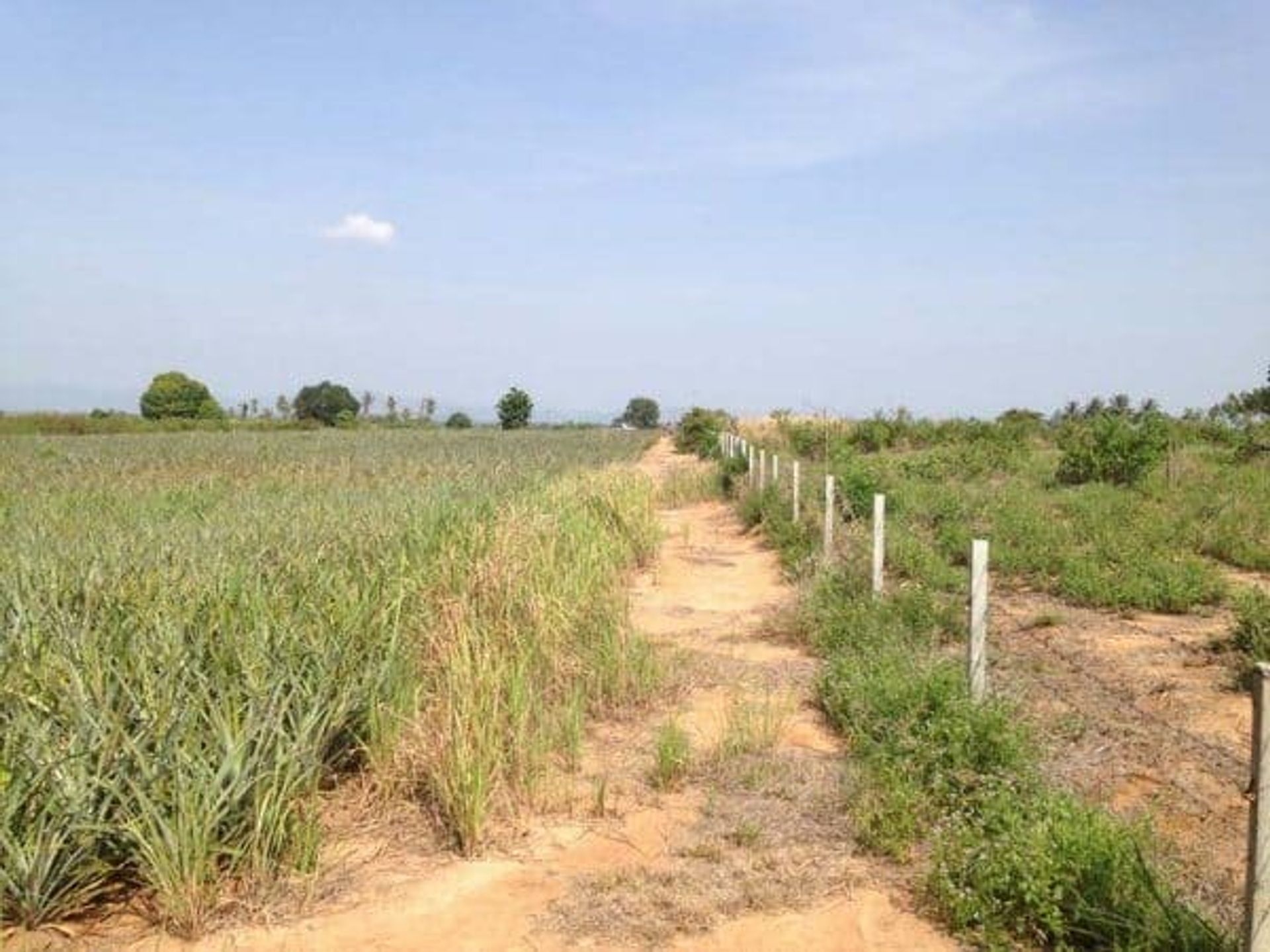 Wylądować w Hua Hin, Prachuapa Khiri Khana 10066270