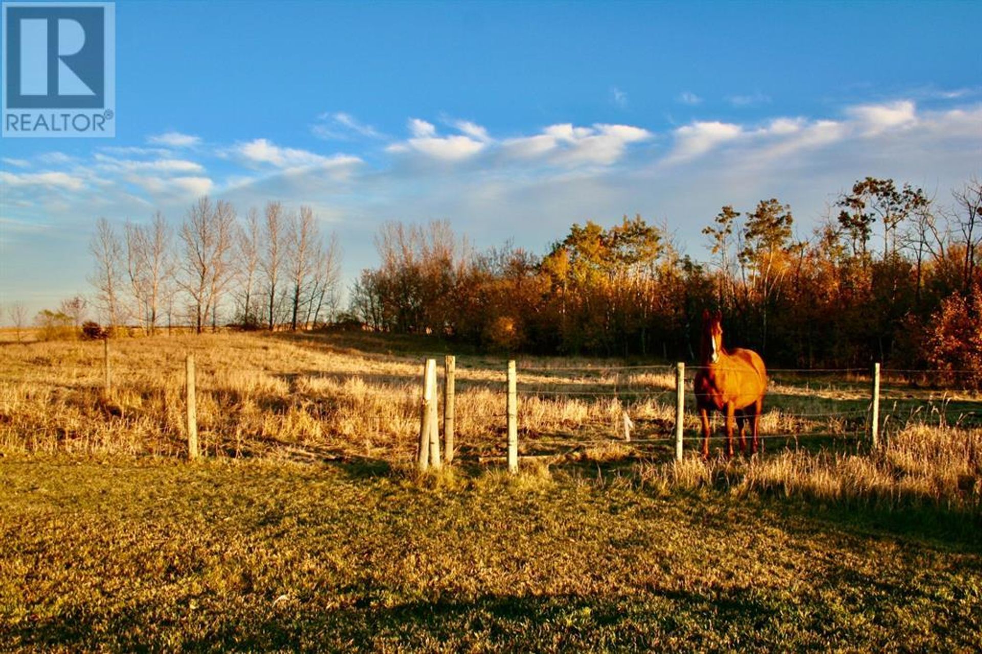 casa en Rural Beaver County, Alberta 10066471