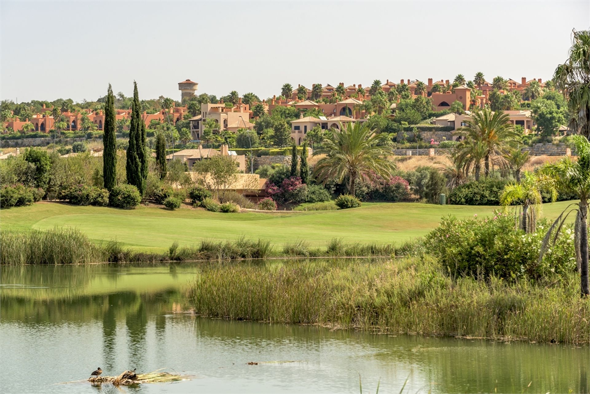 Condominio nel Alcantarilha, Algarve 10066602