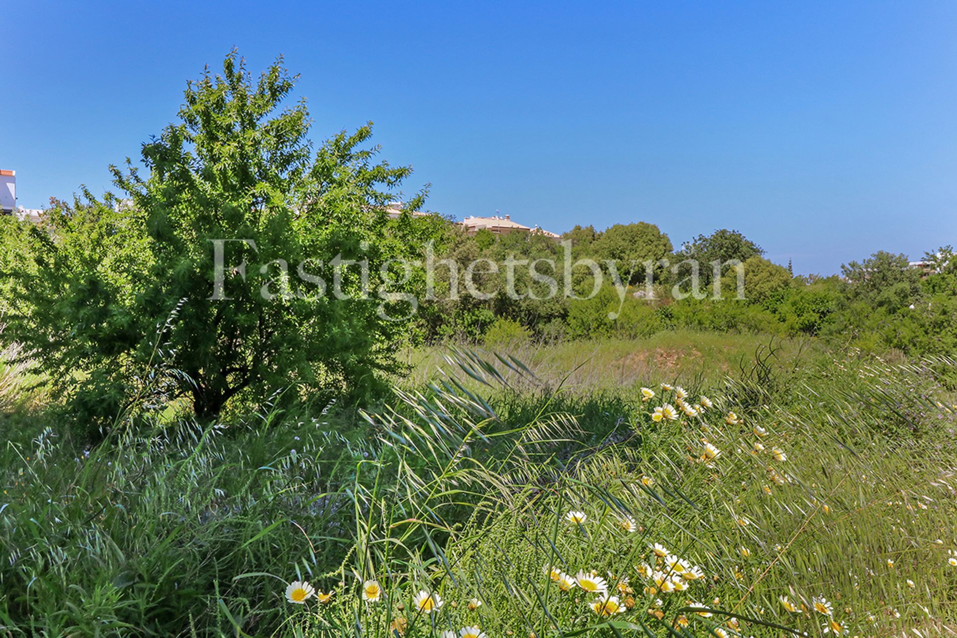 Eigentumswohnung im Santo Amaro, Faro 10066616