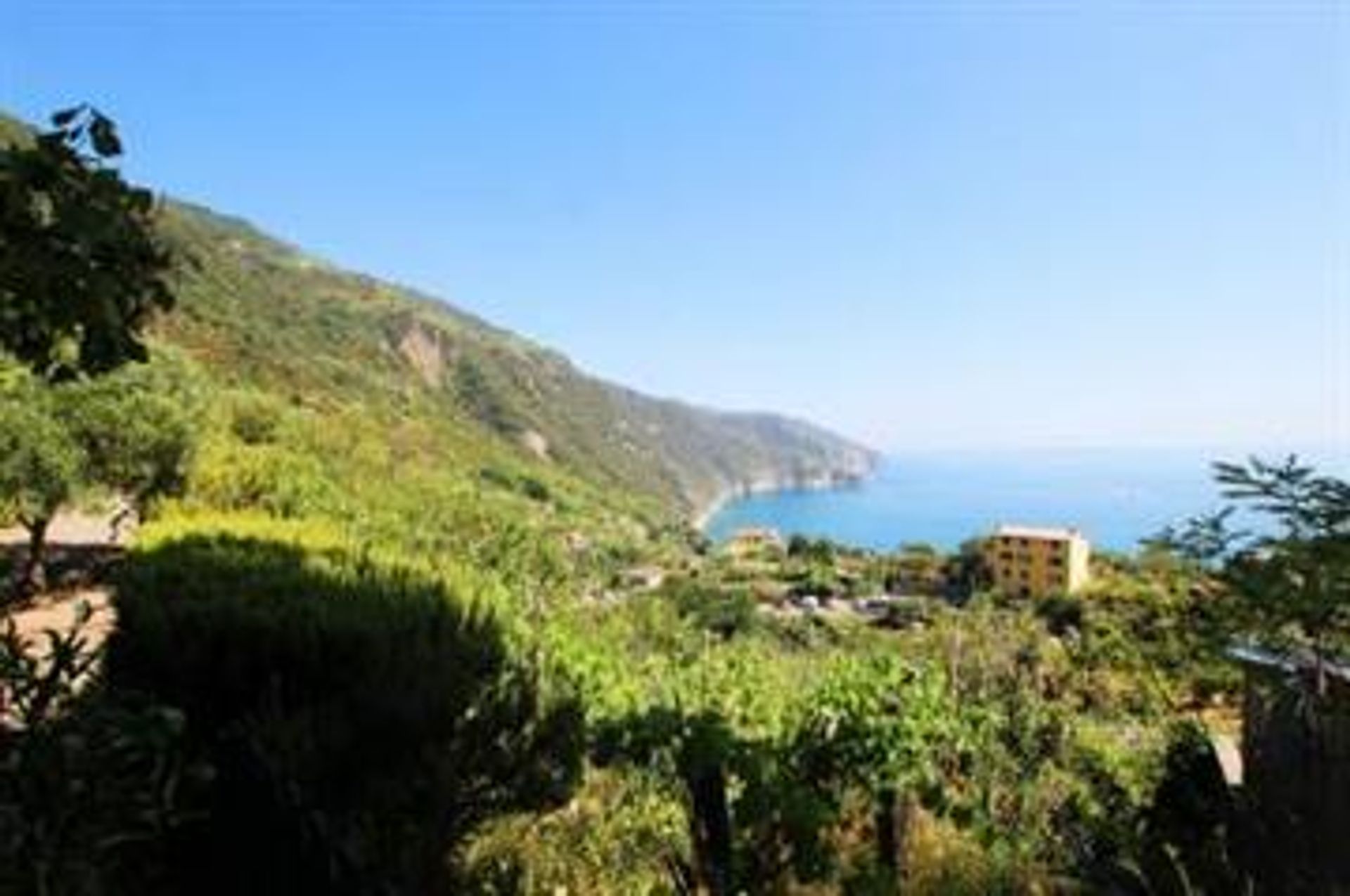 House in Vernazza, Liguria 10068035