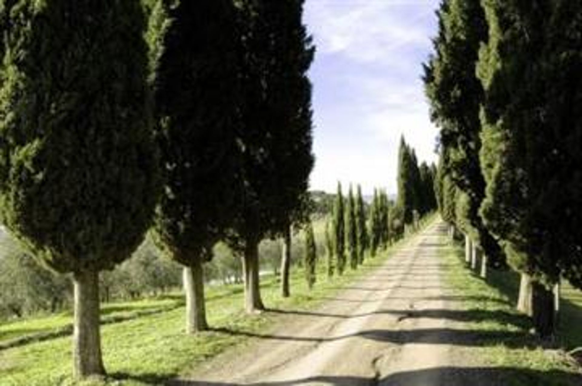 بيت في Buonconvento, Tuscany 10069378