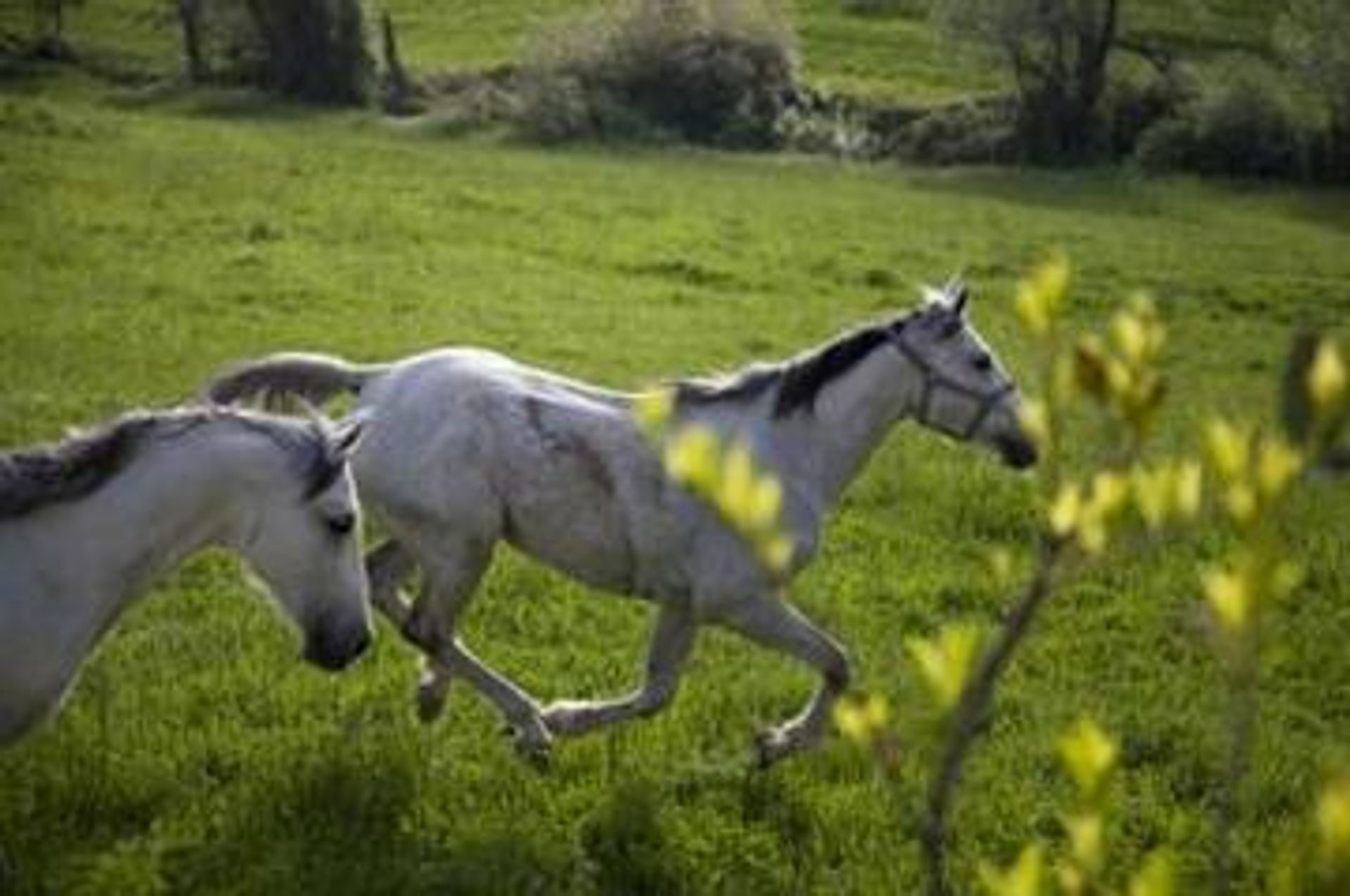 Будинок в Casole d'Elsa, Tuscany 10069419