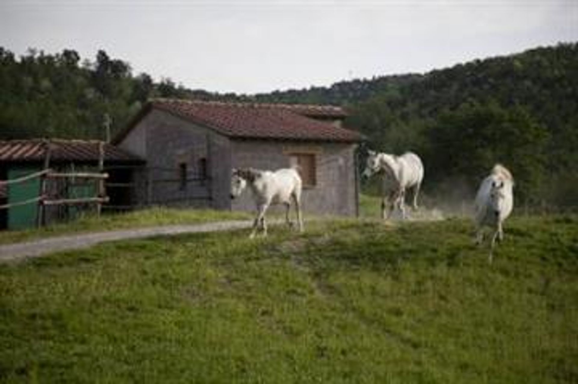 Будинок в Casole d'Elsa, Tuscany 10069419