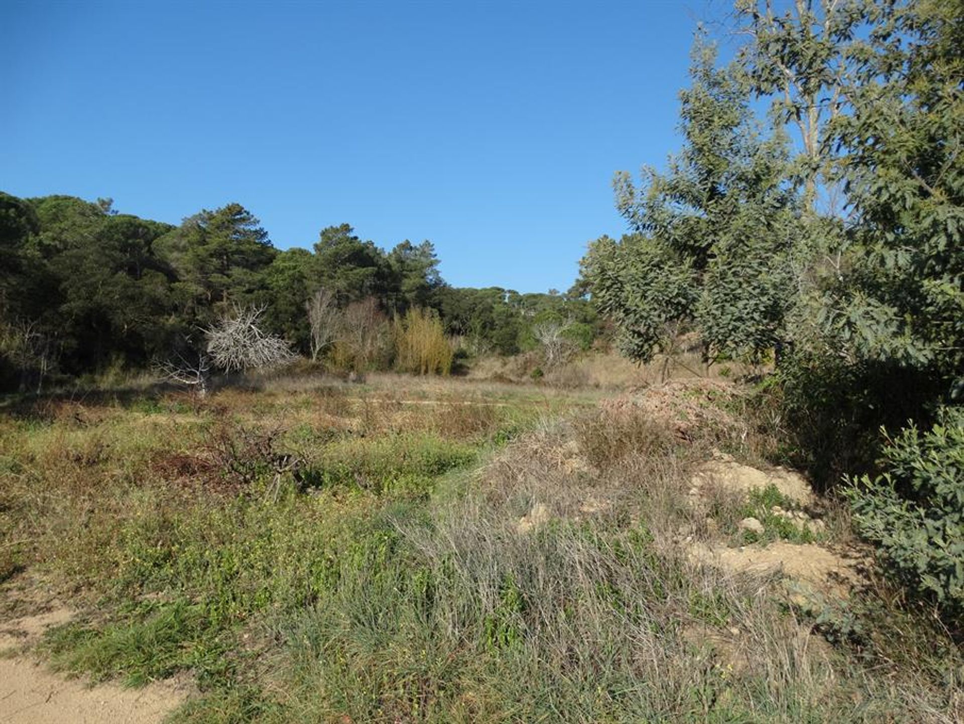 Rumah di Tordera Blanes, Costa Brava 10069950