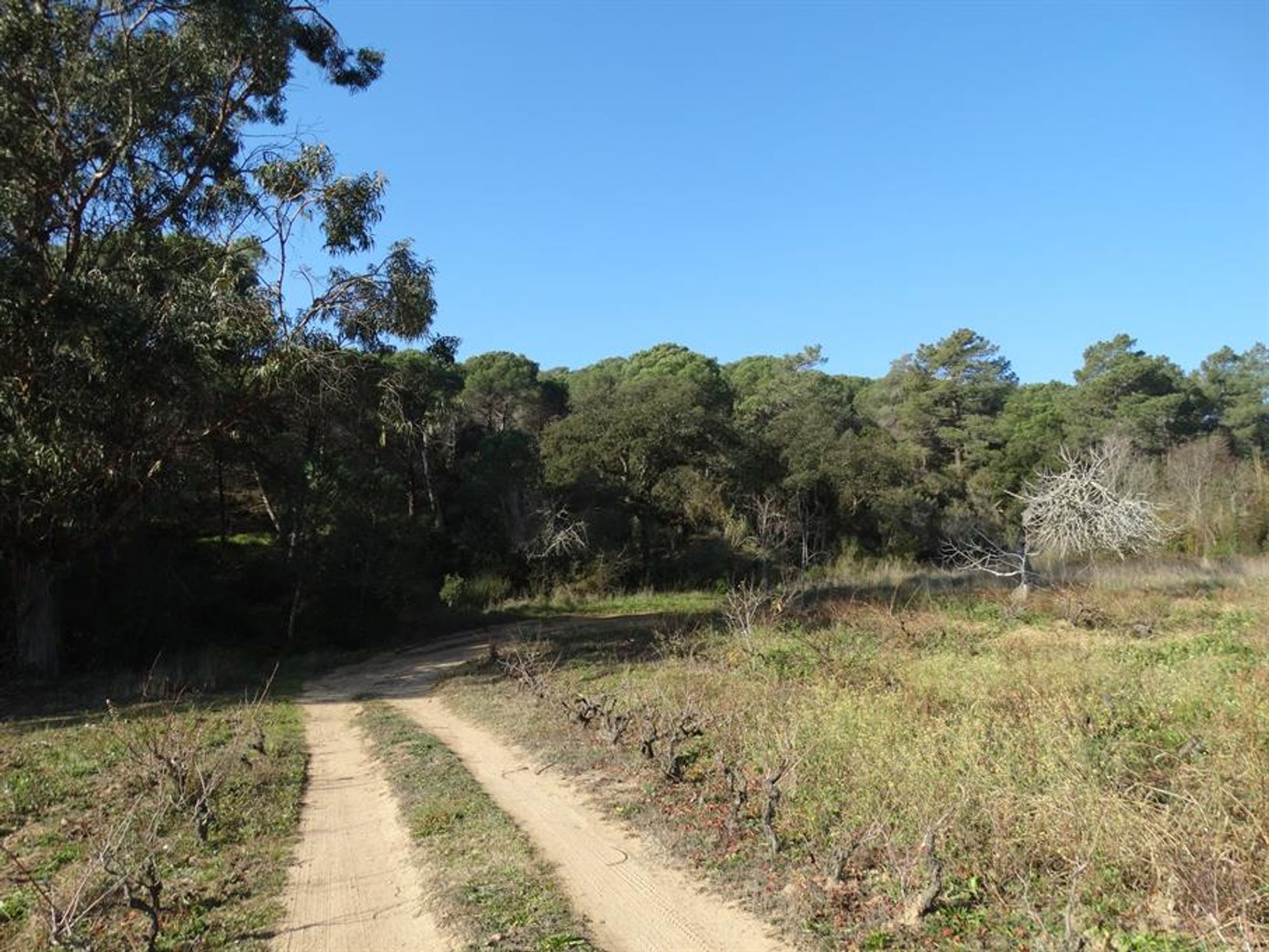 rumah dalam Blanes, Catalonia 10069950