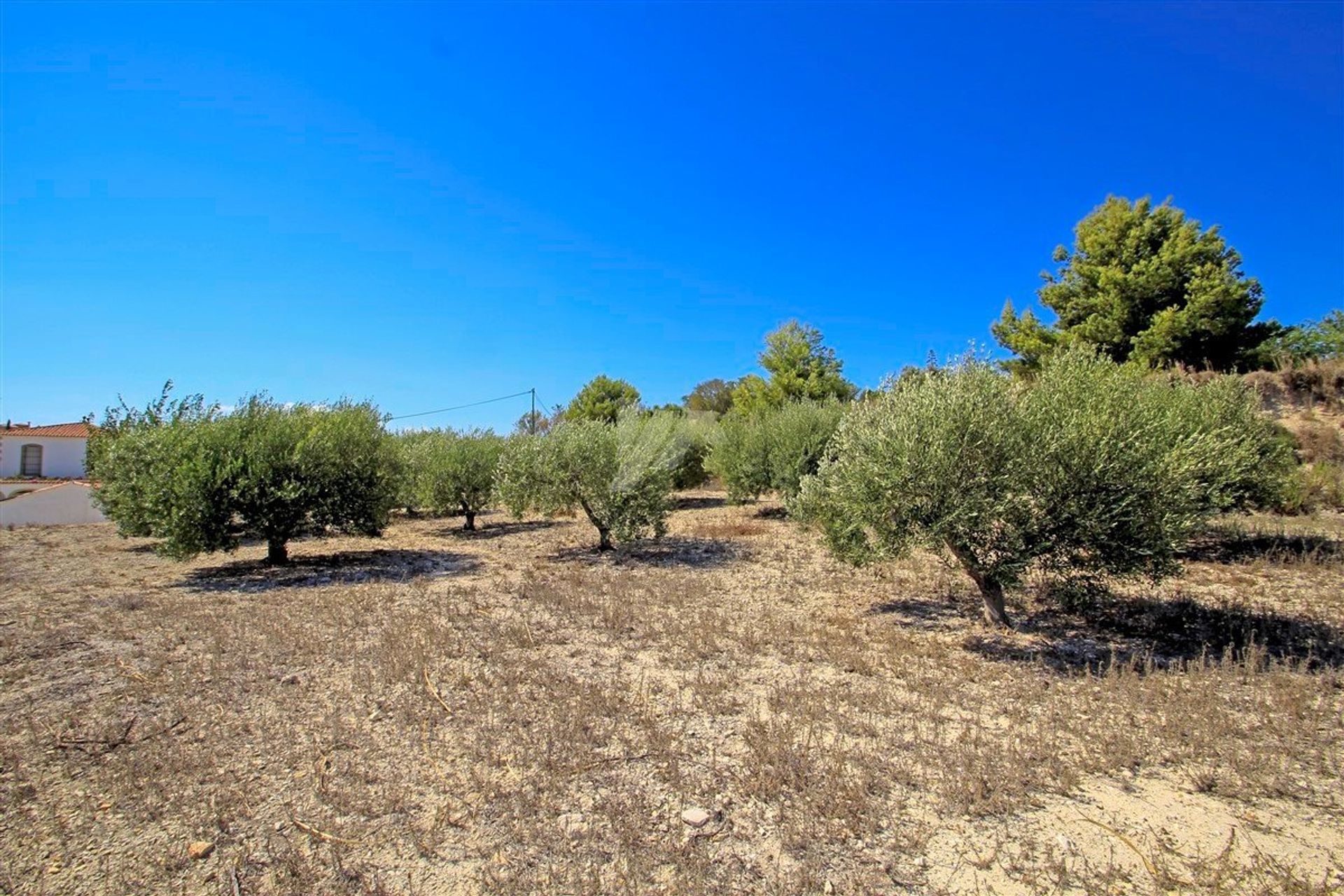 Land in Benissa, Valencia 10070547