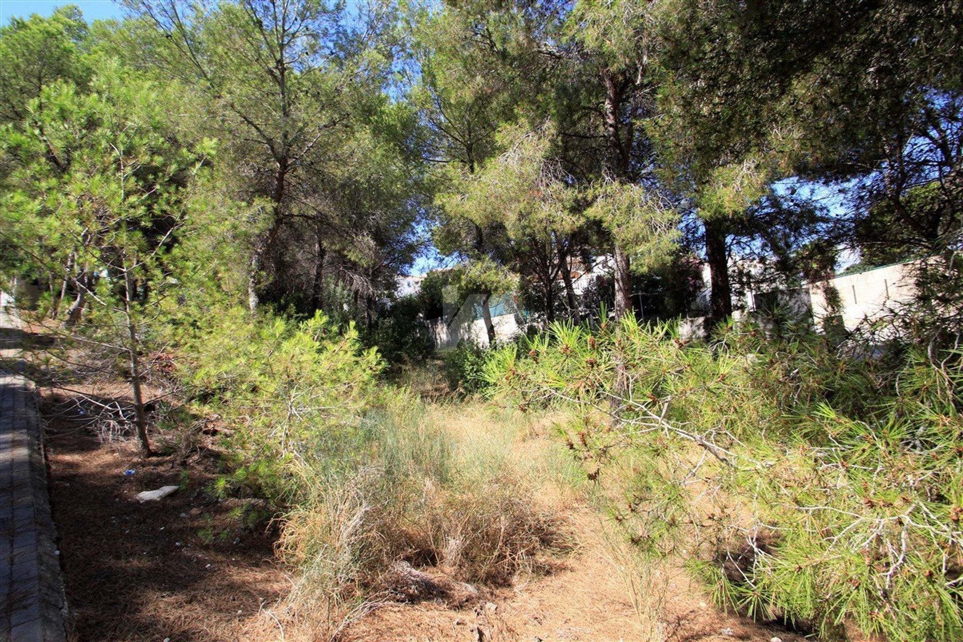 Land in Moraira, Valencia 10070579