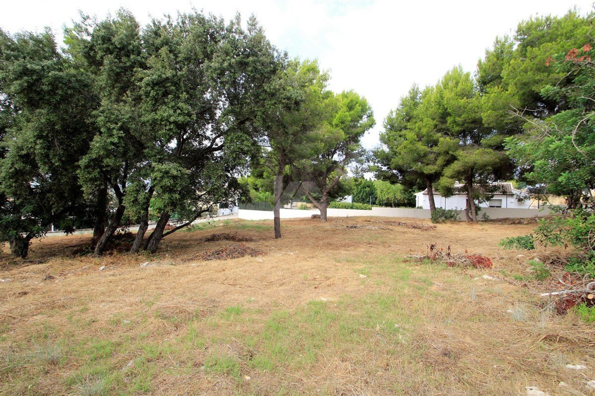 Land in Javea, Valencia 10070584