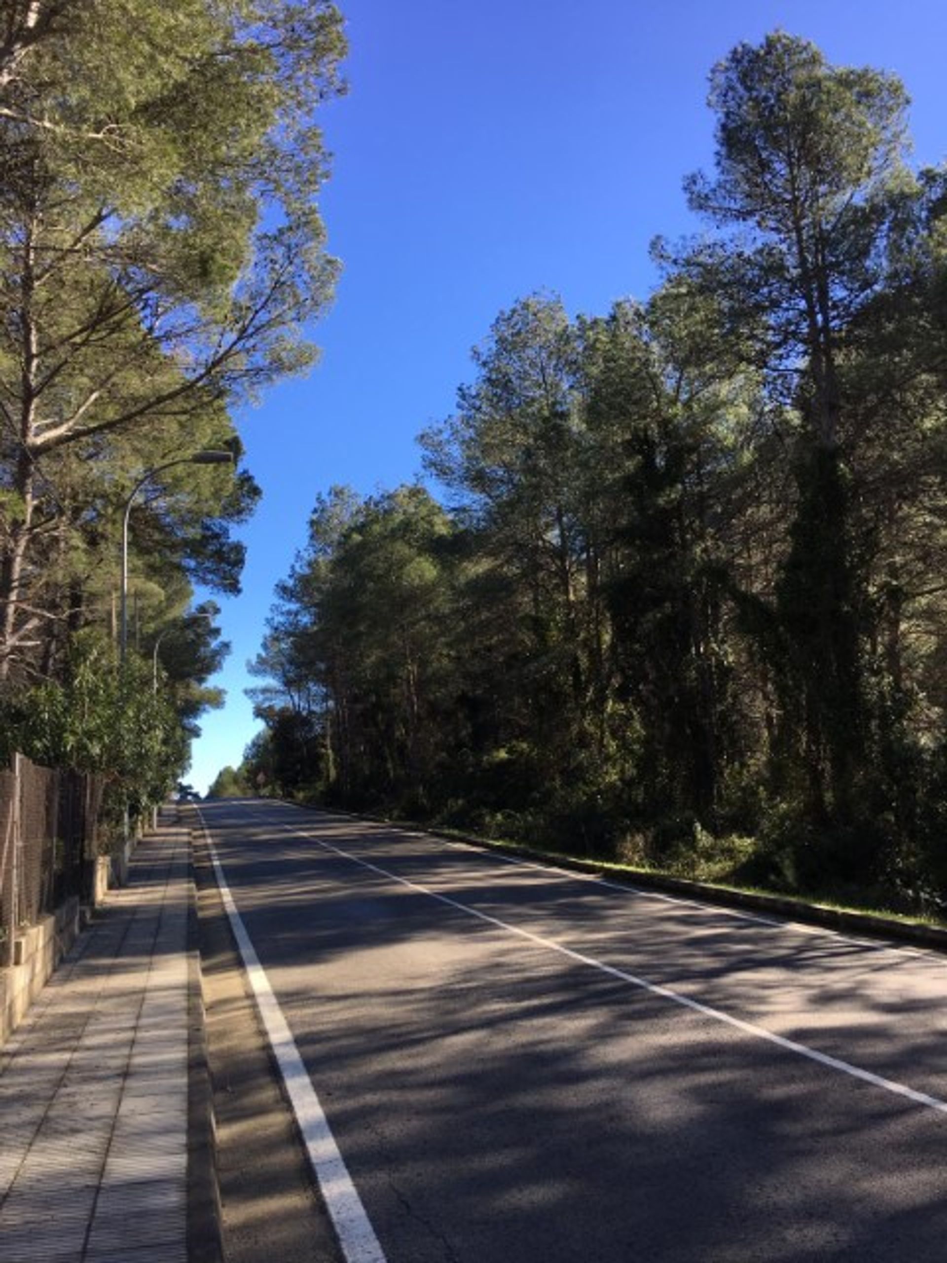 Συγκυριαρχία σε Βαλένθια, Βαλένθια 10070736