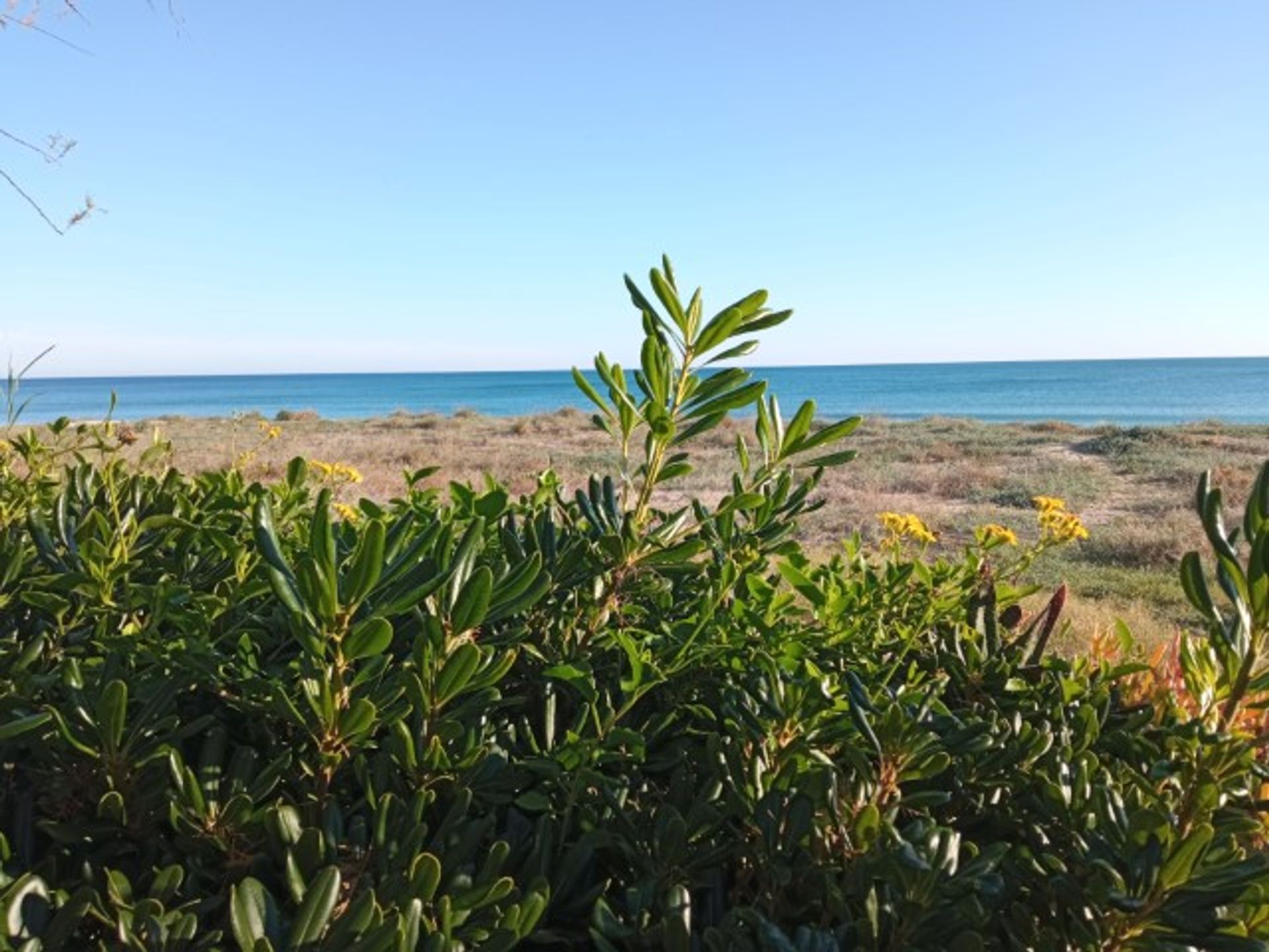 Osakehuoneisto sisään Tavernes De La Valdina Playa, Valencia 10070741