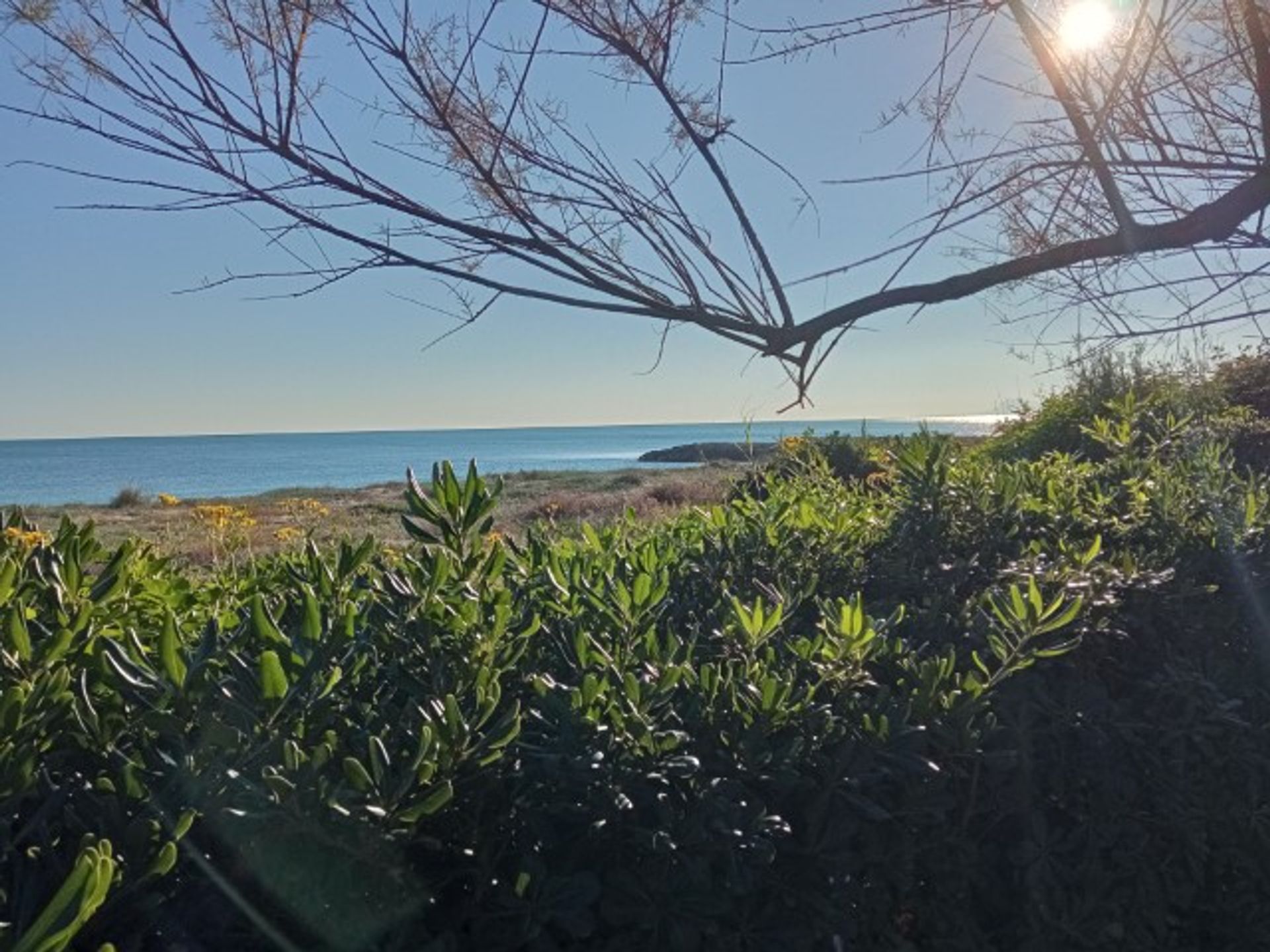 Osakehuoneisto sisään Tavernes De La Valdina Playa, Valencia 10070741