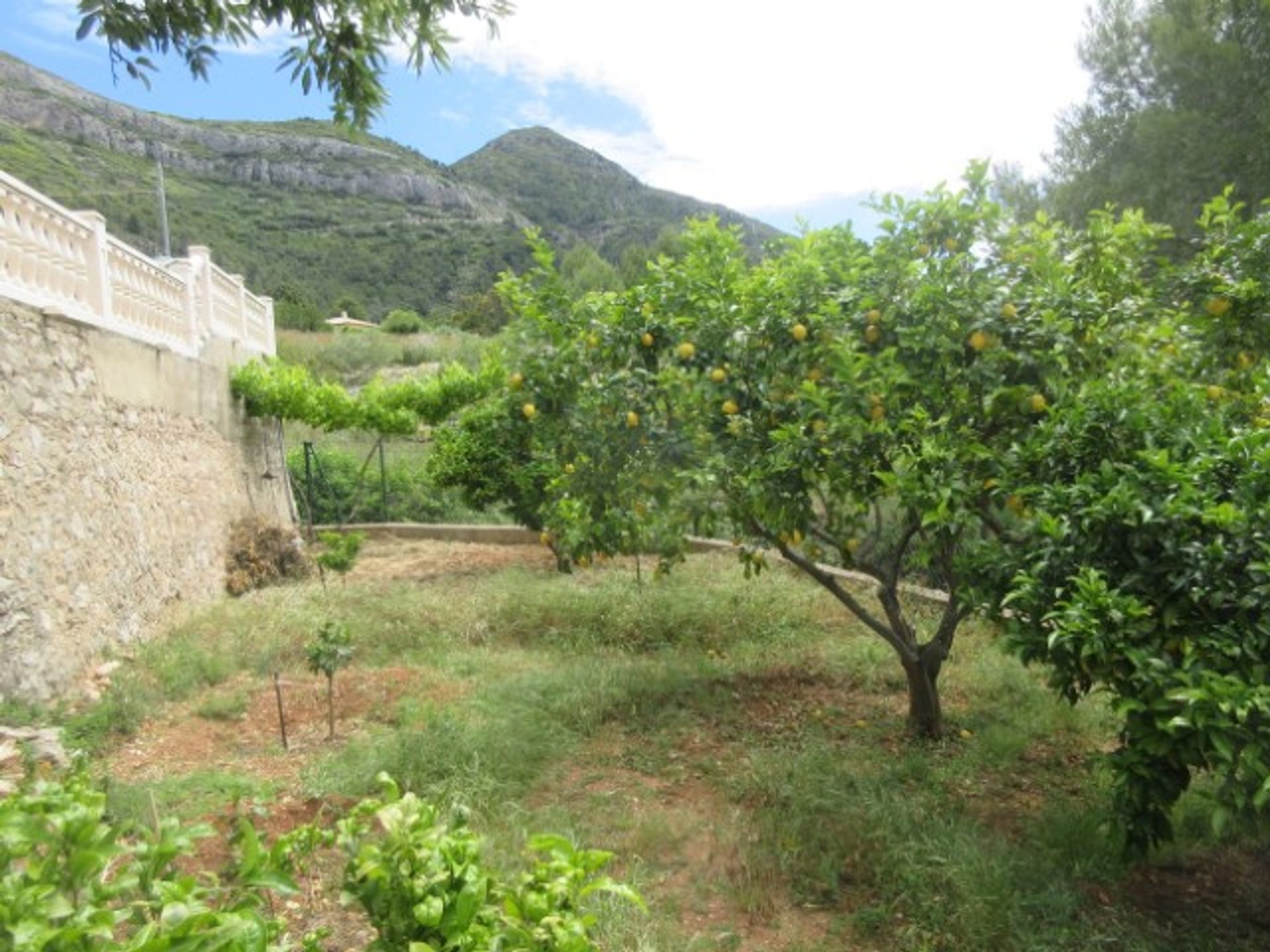 House in La Drova, Valencia 10070758