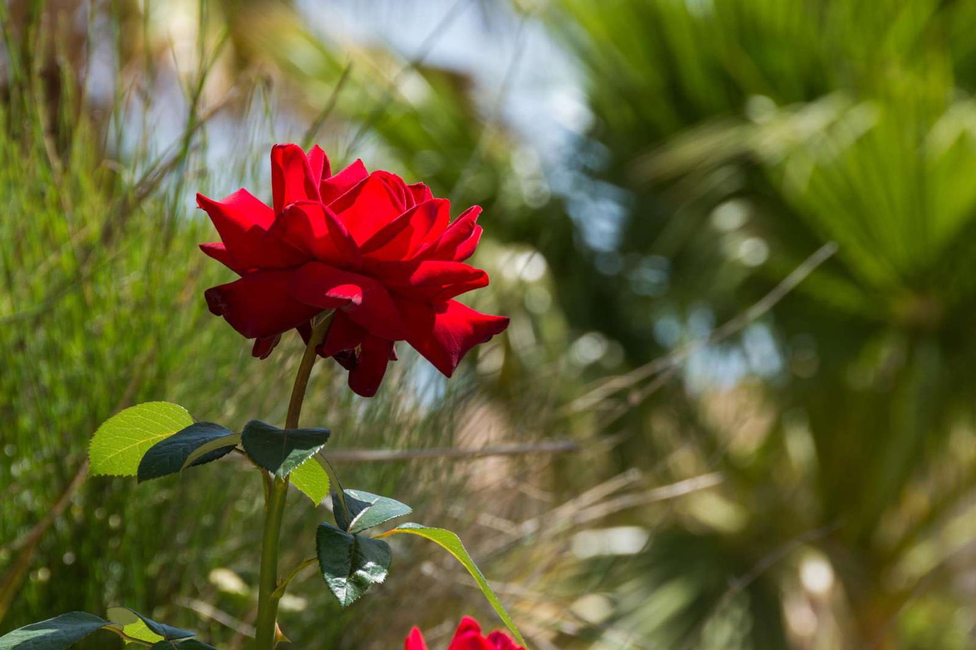 Borettslag i Mijas, Andalucia 10071051