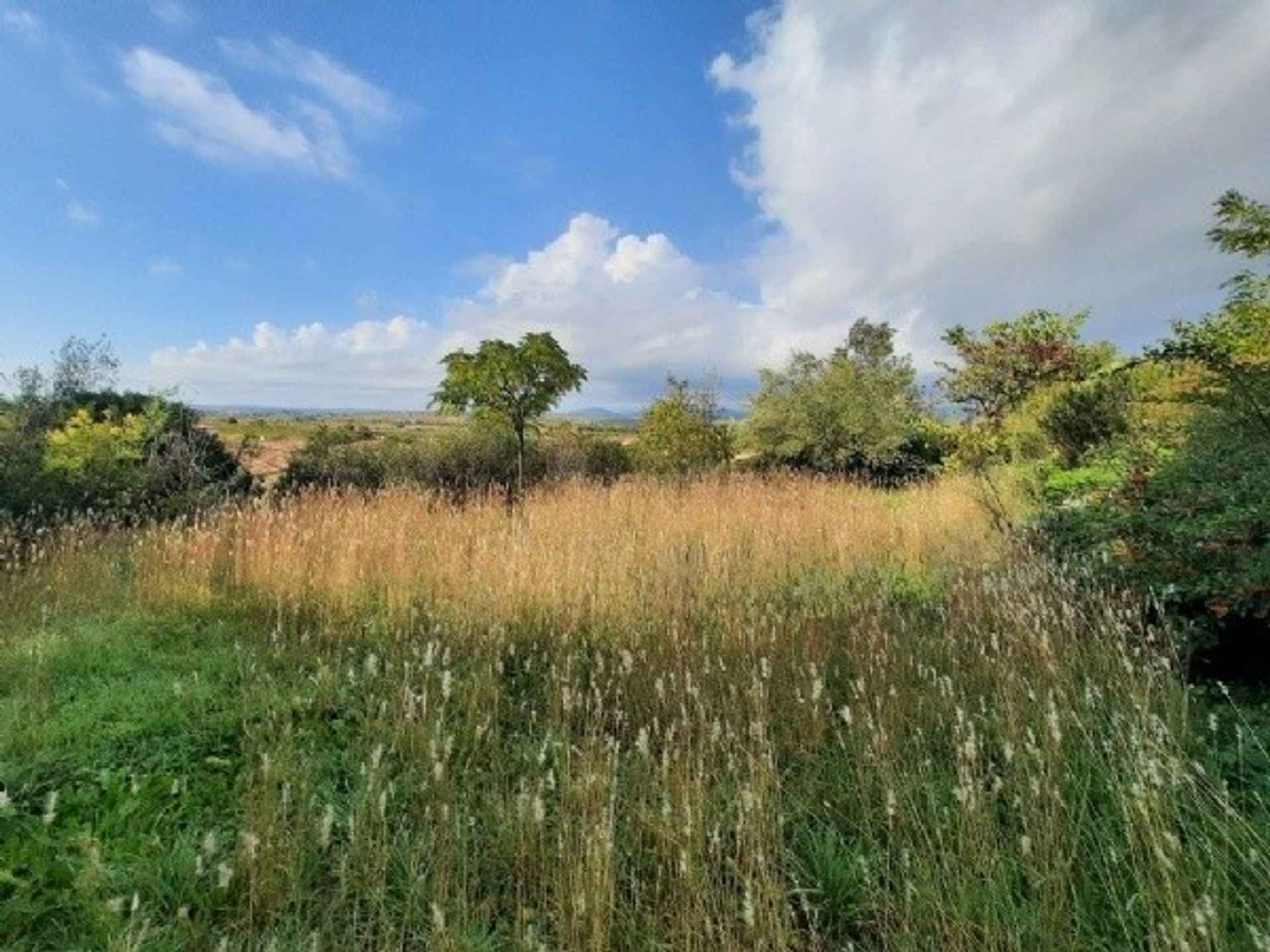 Huis in Beziers, Languedoc-Roussillon 10071370