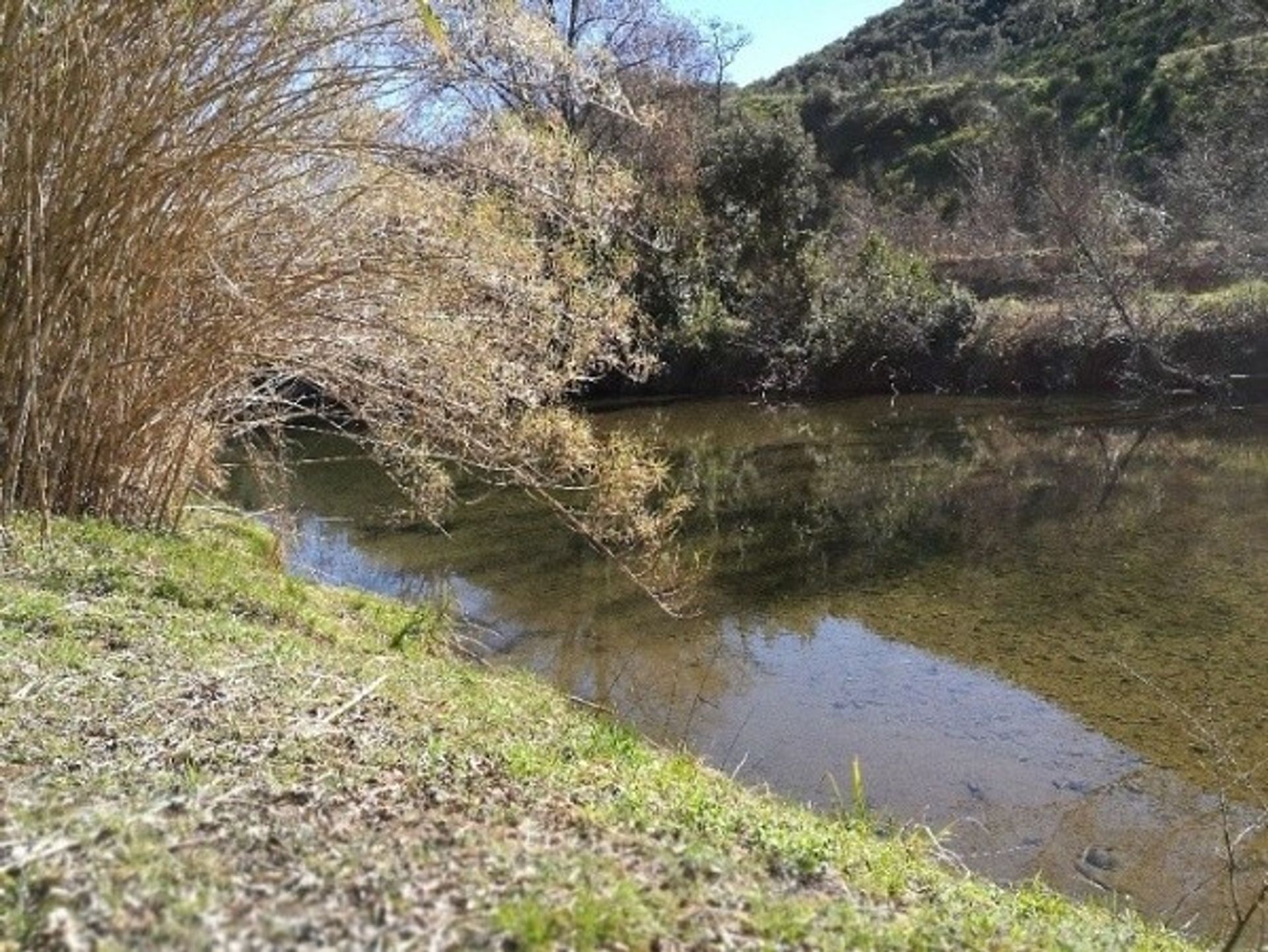 土地 在 Beziers, Languedoc-Roussillon 10071392