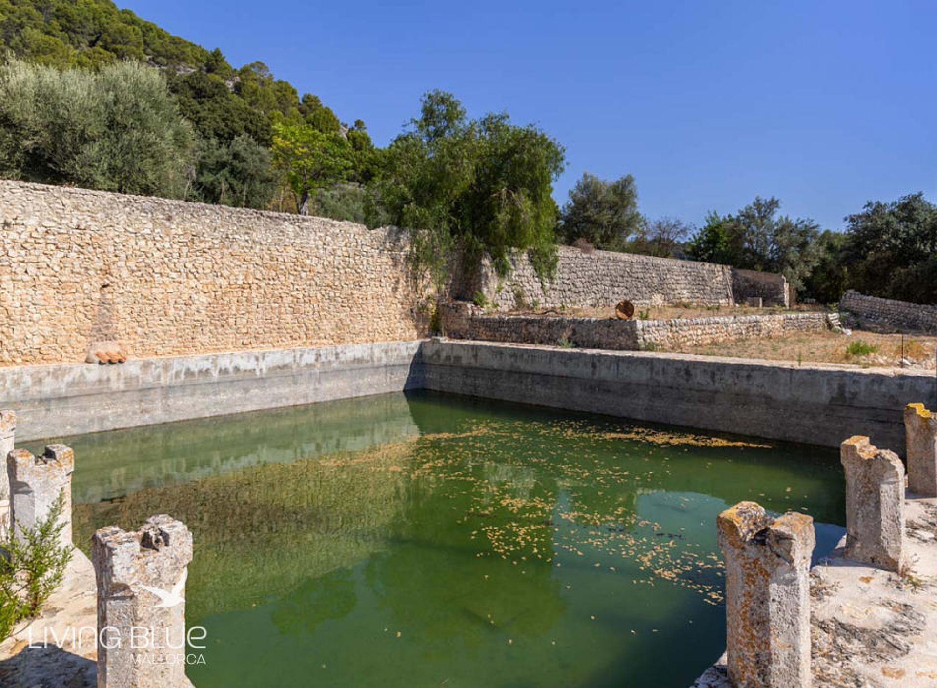 σπίτι σε Campanet, Mallorca 10071508