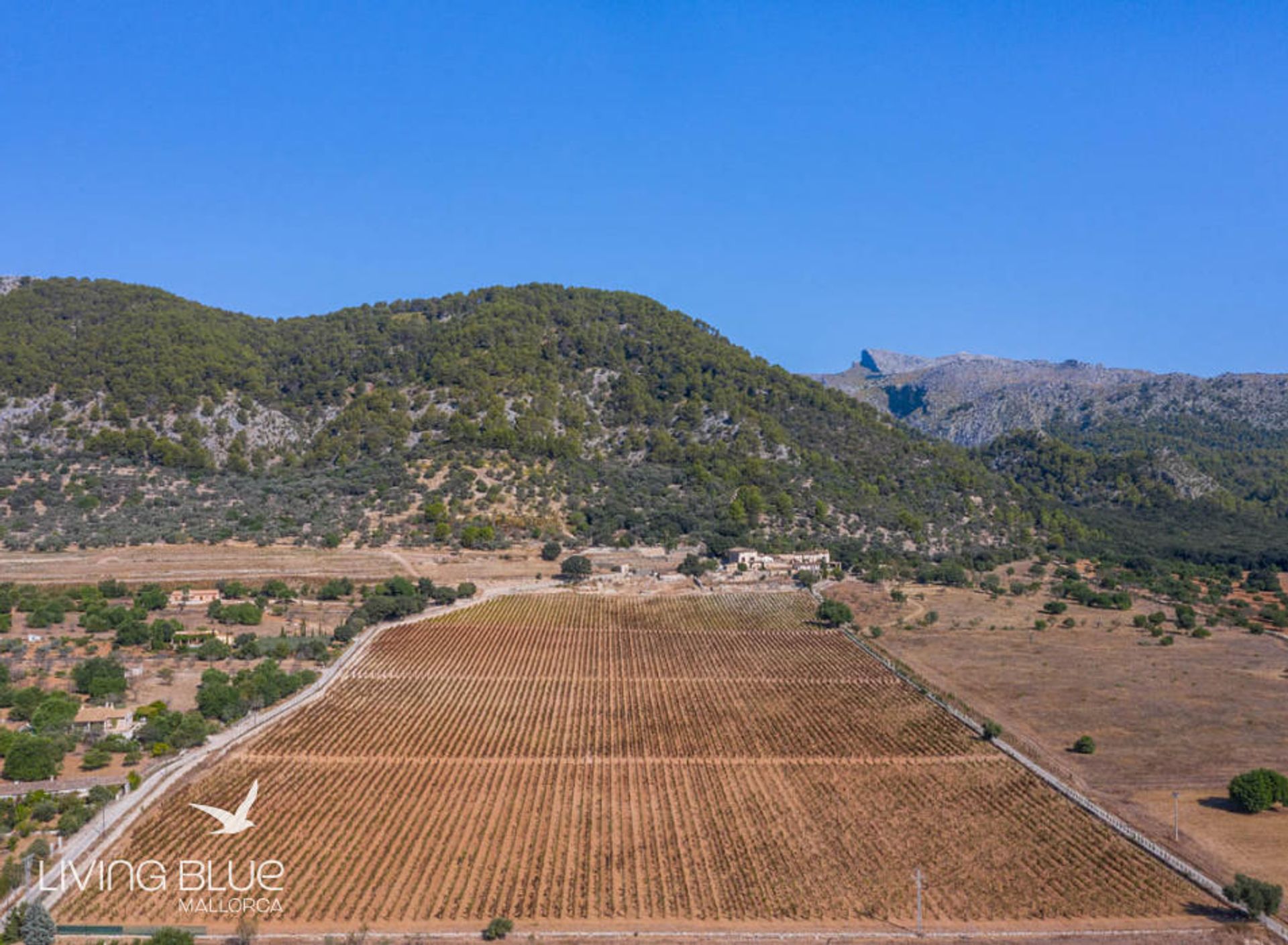 σπίτι σε Campanet, Mallorca 10071508